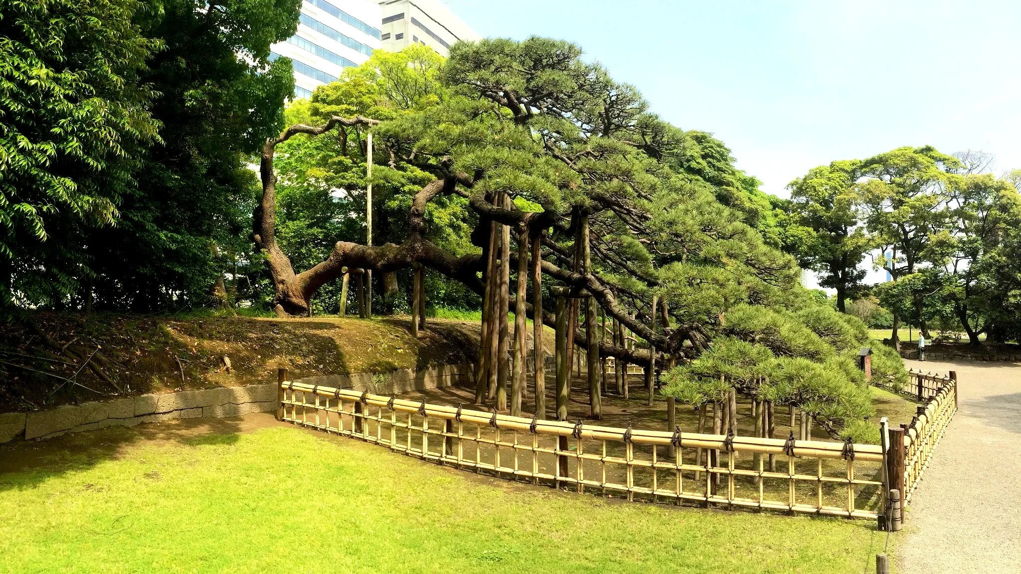 Photo: Tourist in Japan