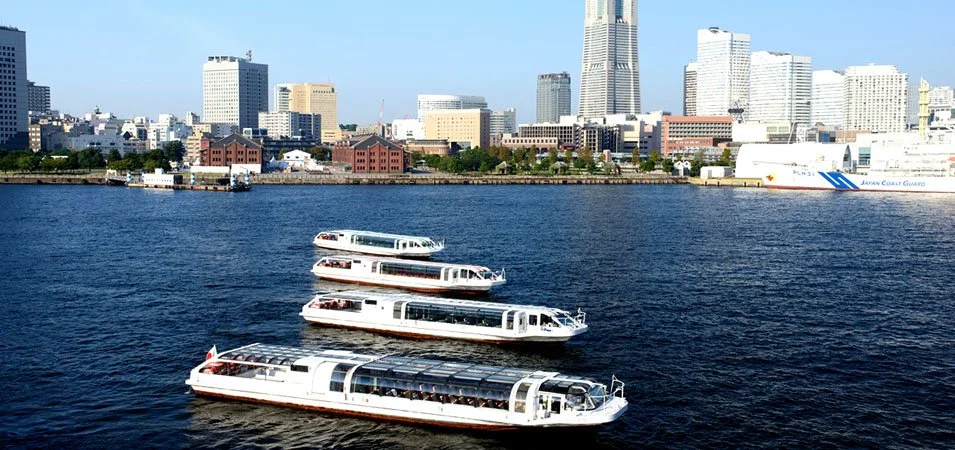 Sea Bass Cruise