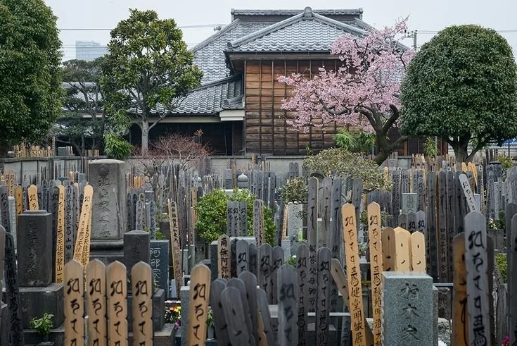 Photo credit: TokyoStreetView