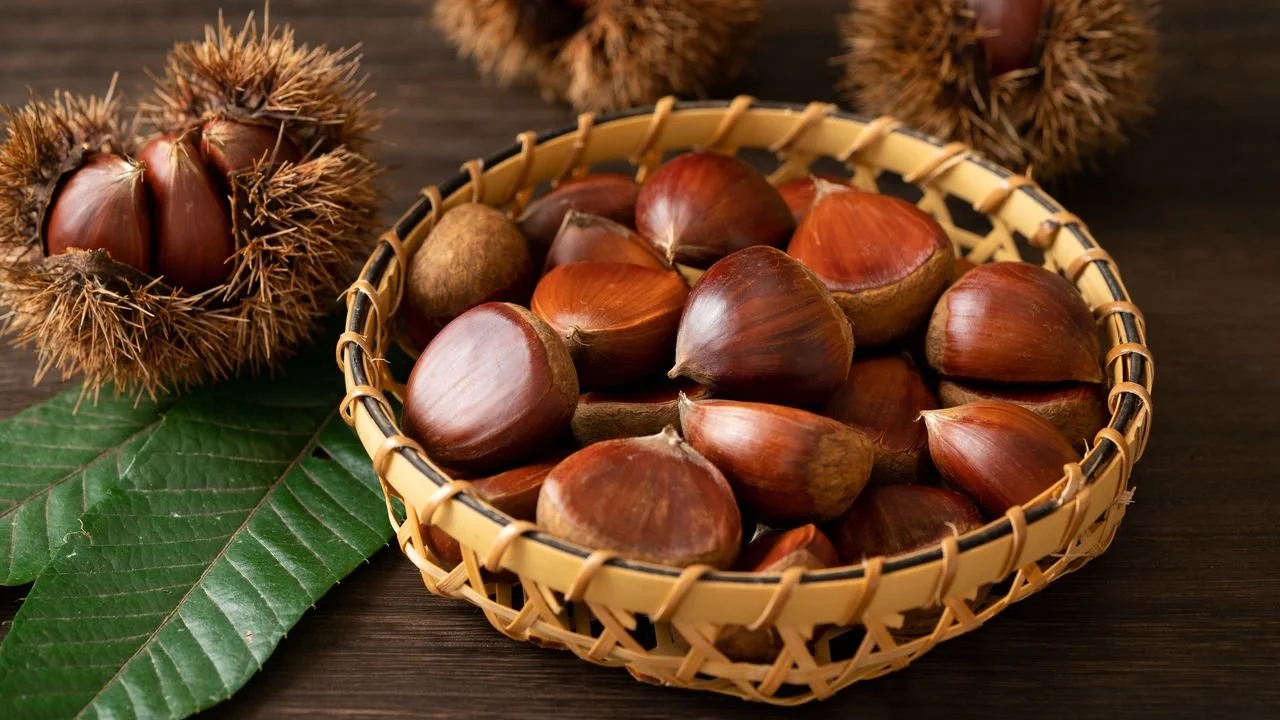 Photo Credit: Nippon.com
