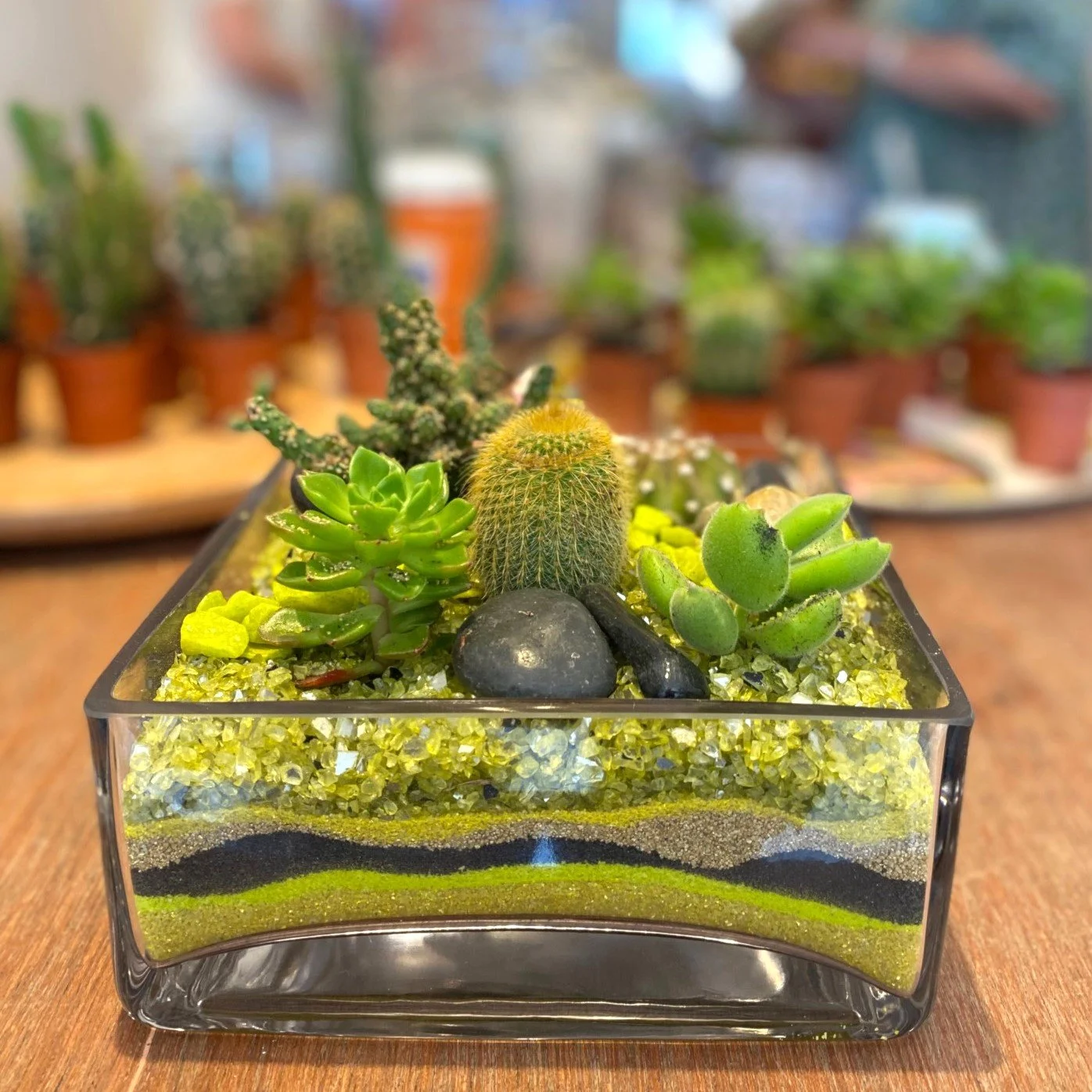 Cactus in glass Workshop- Saturday 6th June 2026