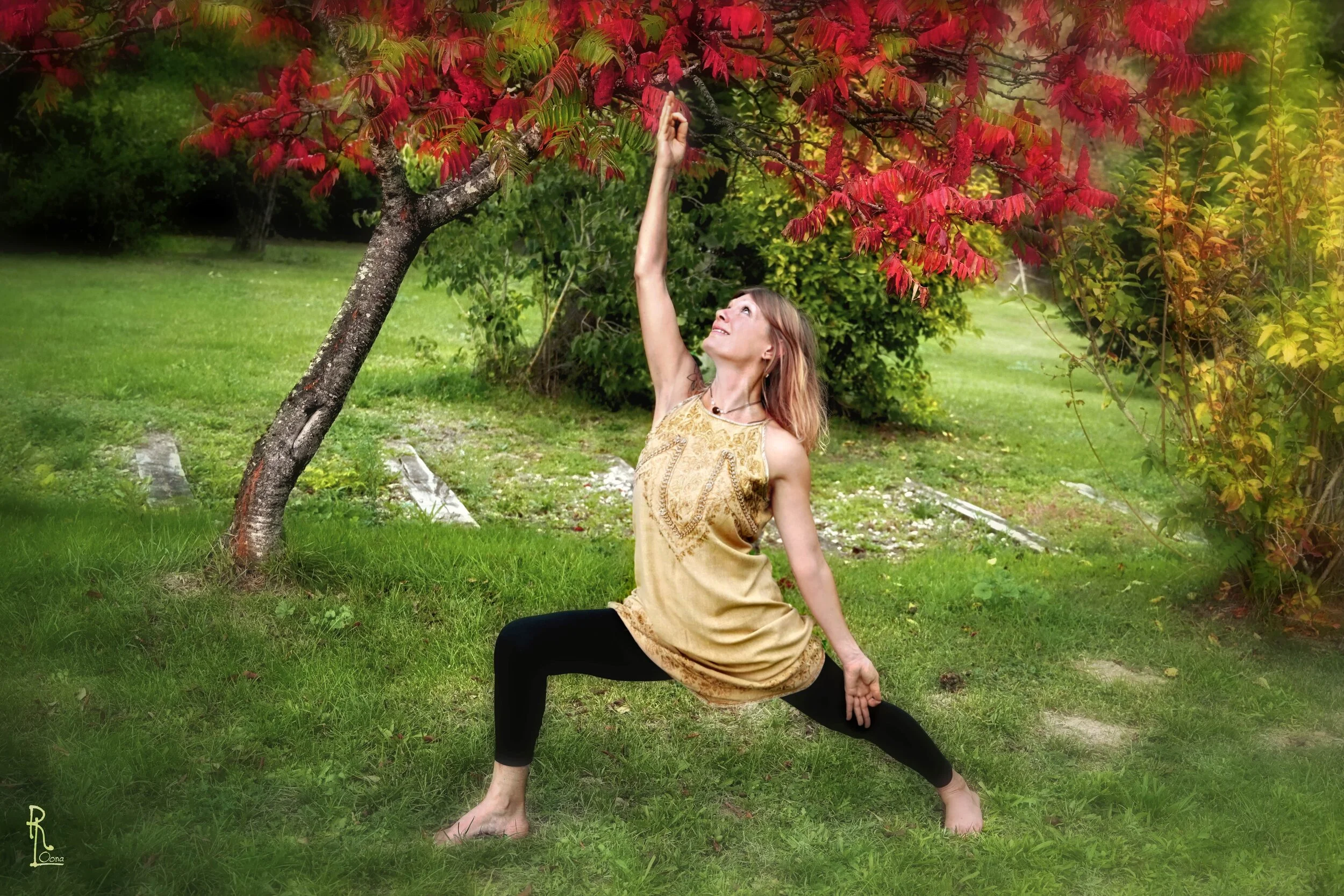 Yoga Détox d'Automne