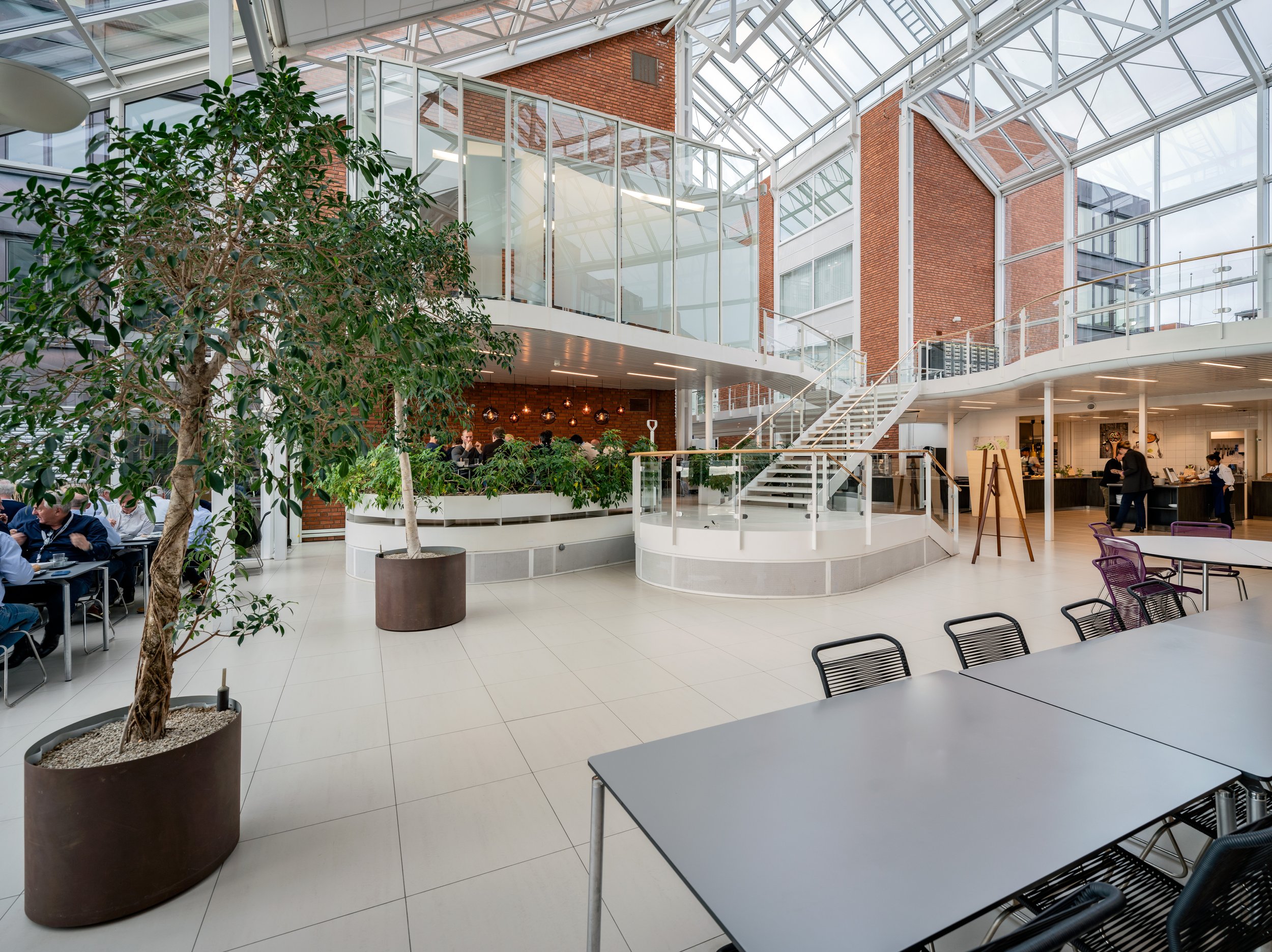 Strandvn50 Photo Knut Neerland 0041648.jpg