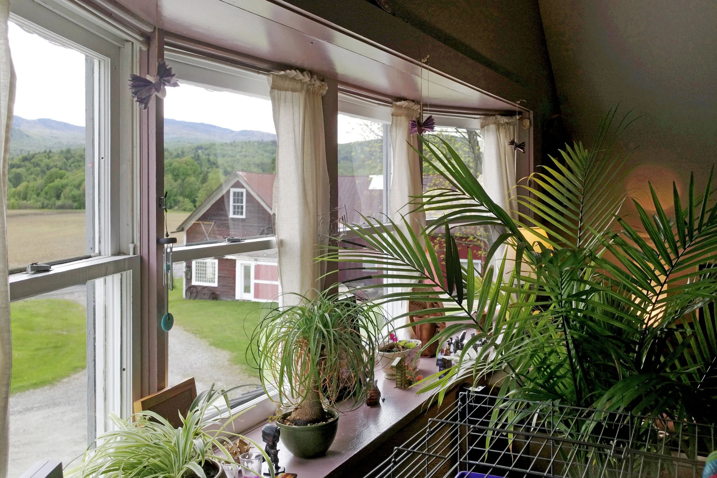26-2019-05-31 CDCIM994MEDIADXO_0051 McGlinchey Apartment View.jpg