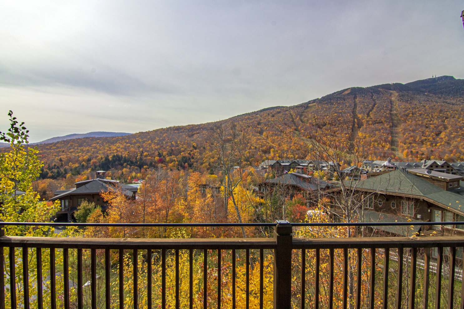 16-2019-10-15 IMG_5408 View to the Mountain from the Balcony.jpg