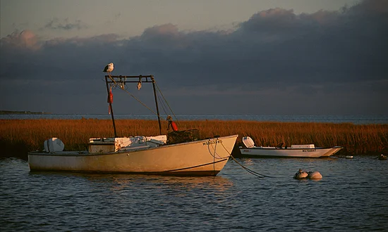 LobsterBoat PAN.jpg