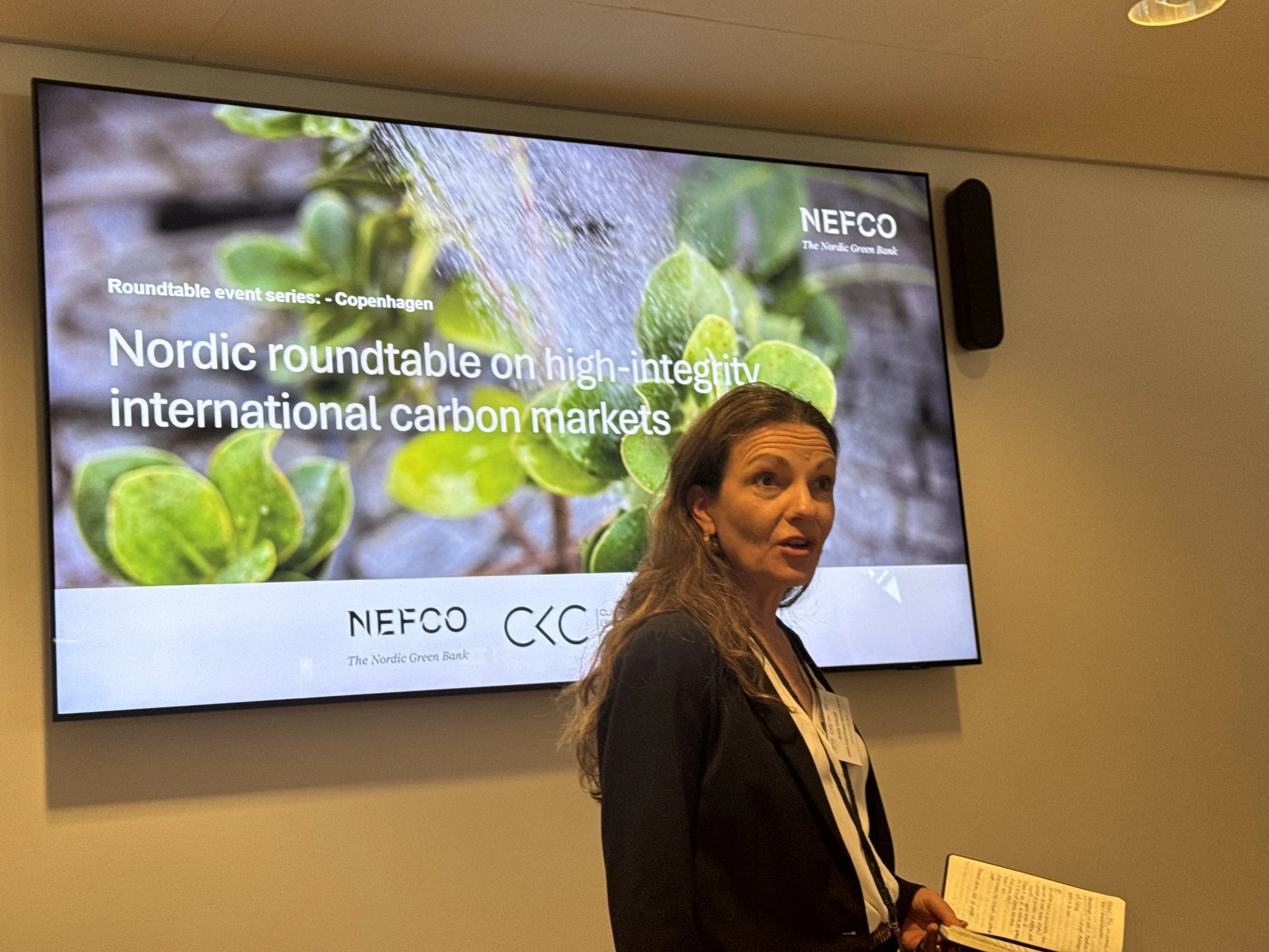 Nordic roundtable - Copenhagen