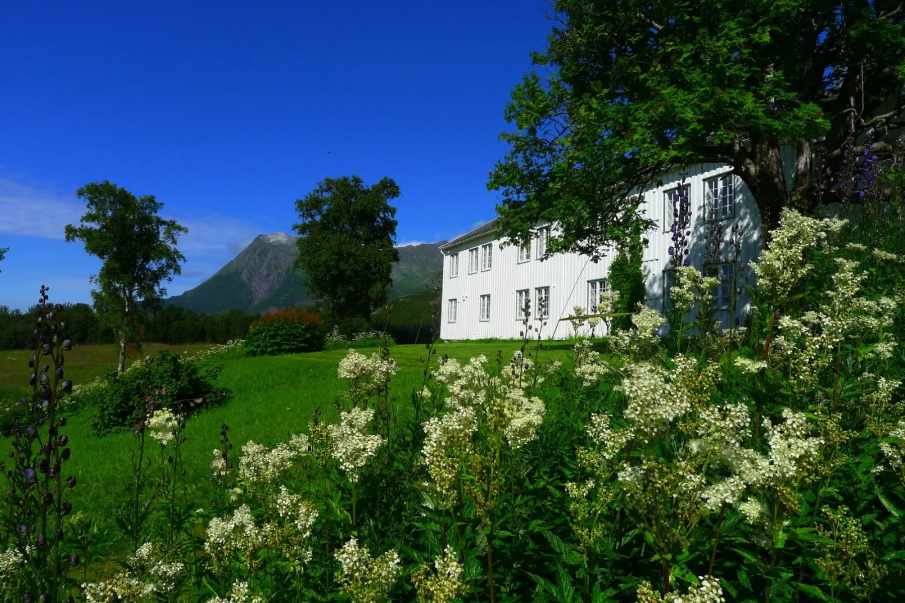 003744_Renate-Sandvik_BL-GK_Gildeskaal-e1528802807959.jpg