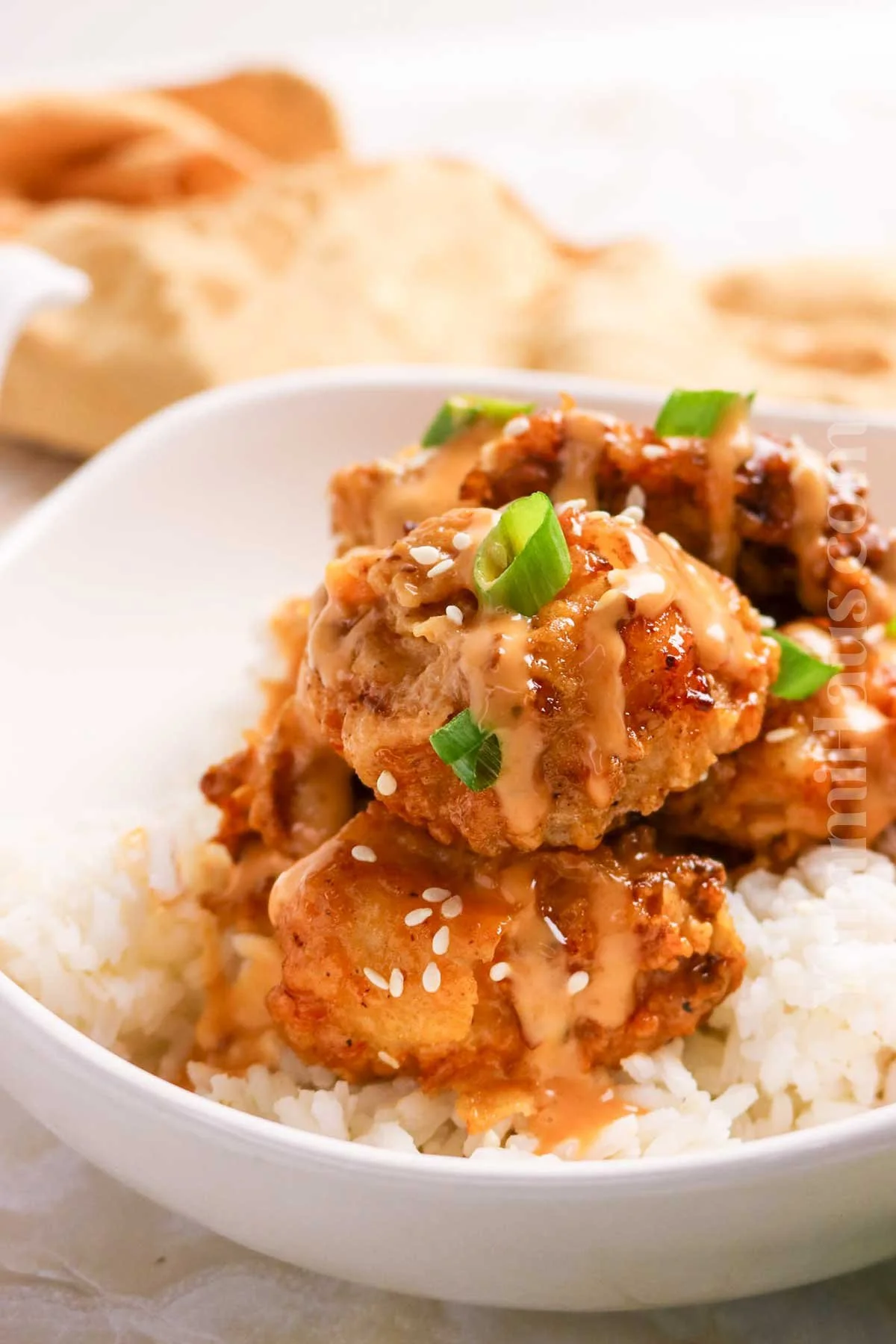 ng Bang Chicken on Brown Rice.jpg