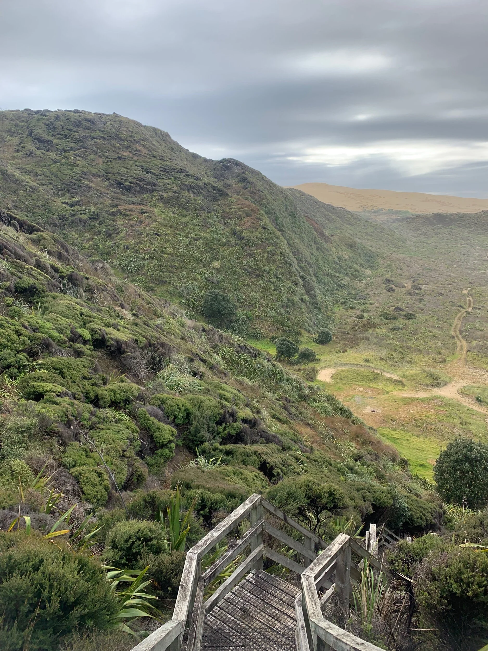 Stairway to 90 mile beach.