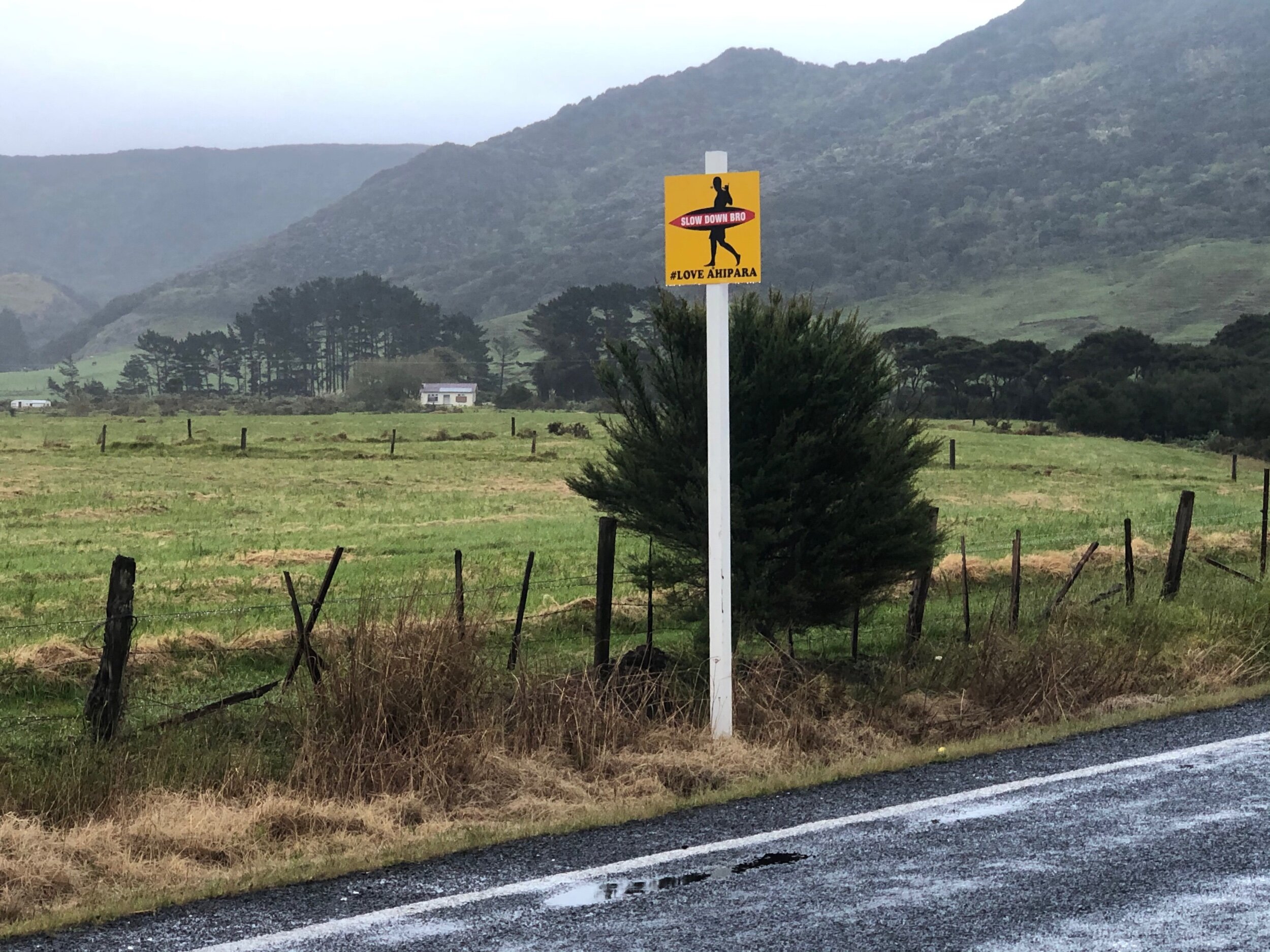 “Slow Down Bro” Sign