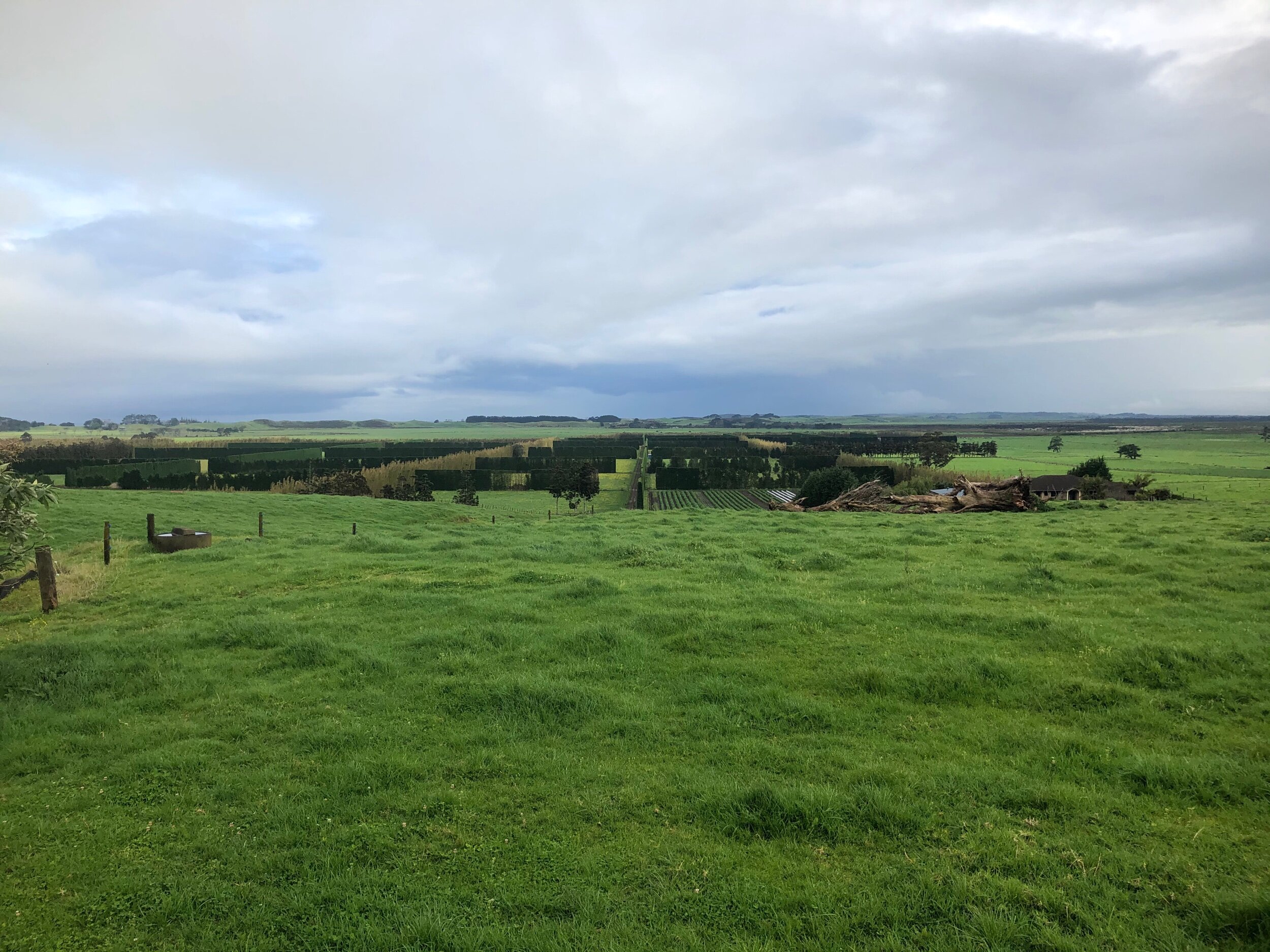 View from the road to Kaitaia