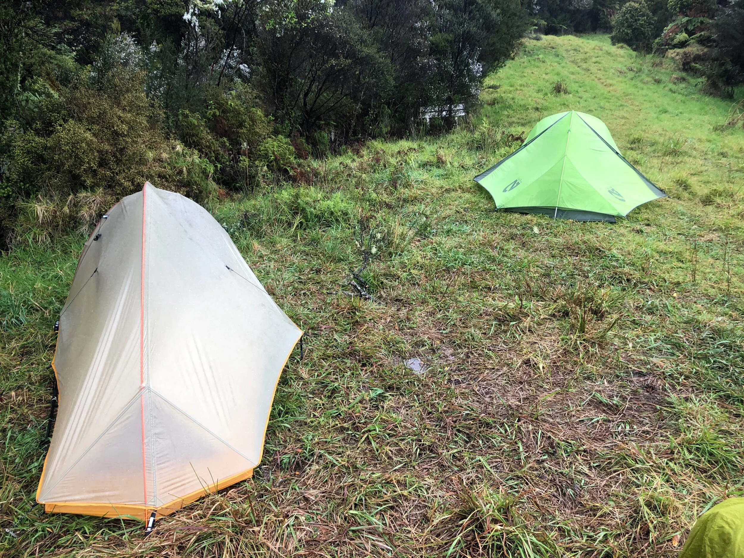 Campsite just before the Retea Forest