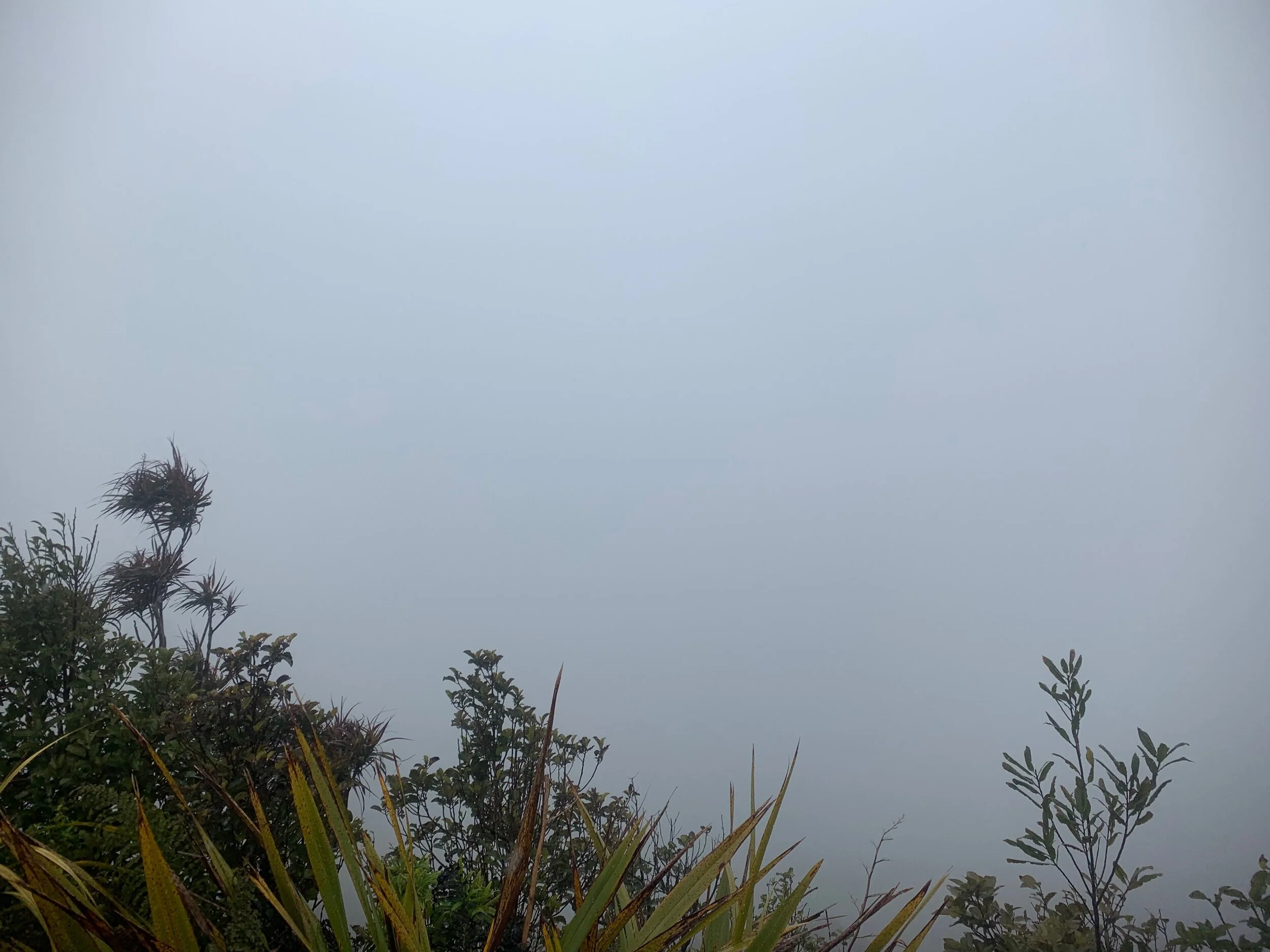 Great visibility at the summit.