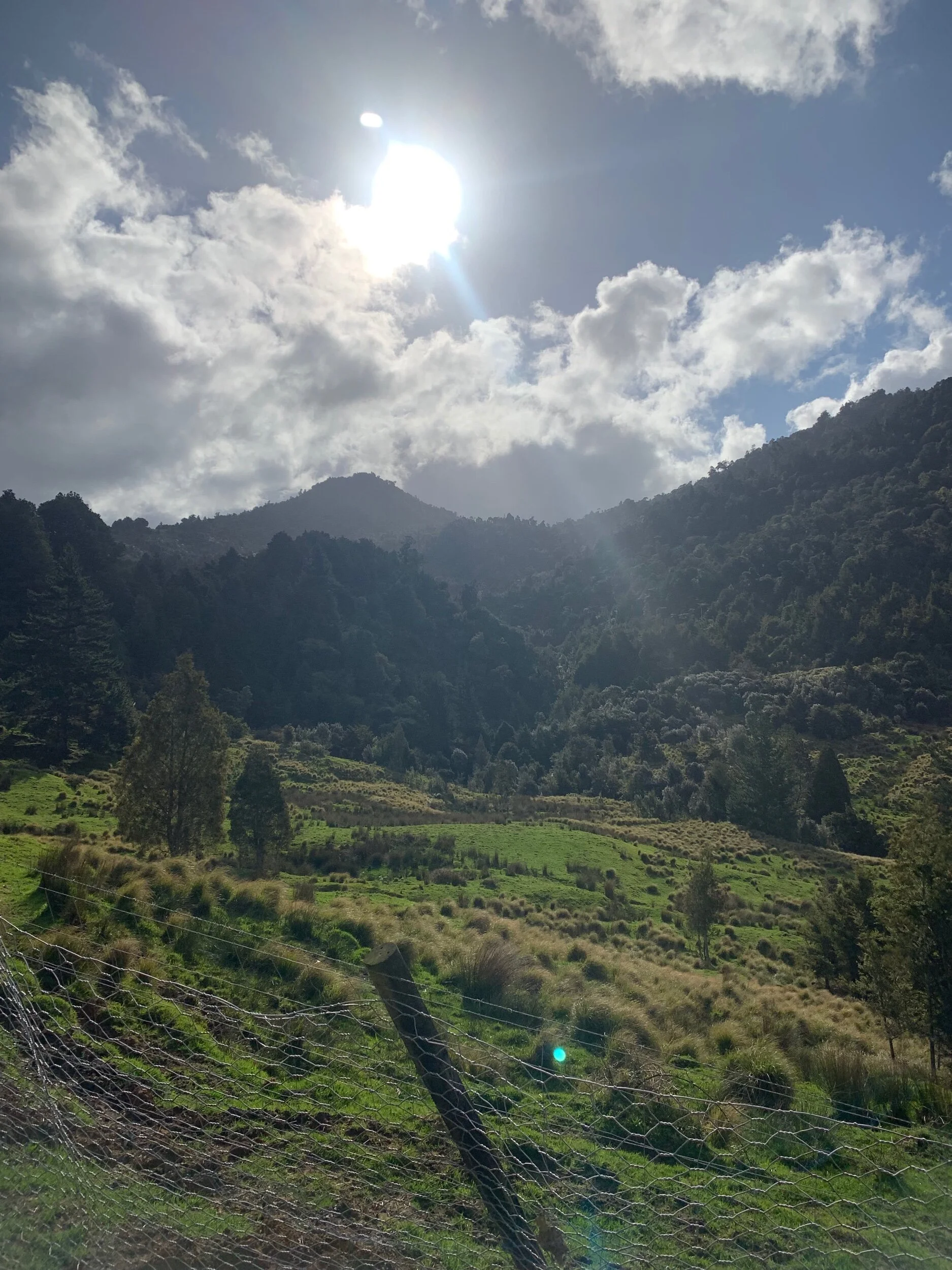 Finally out of the forest.