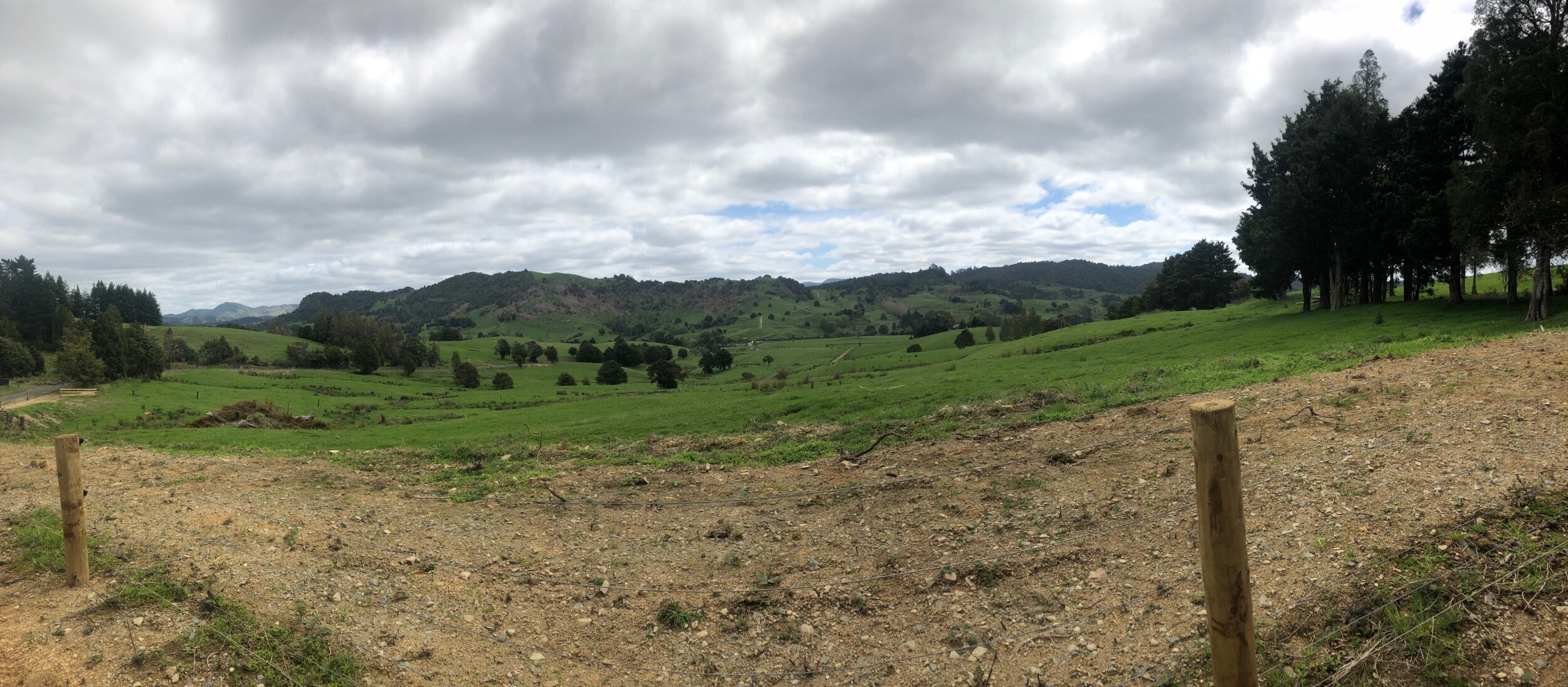 The climb up to the Forest