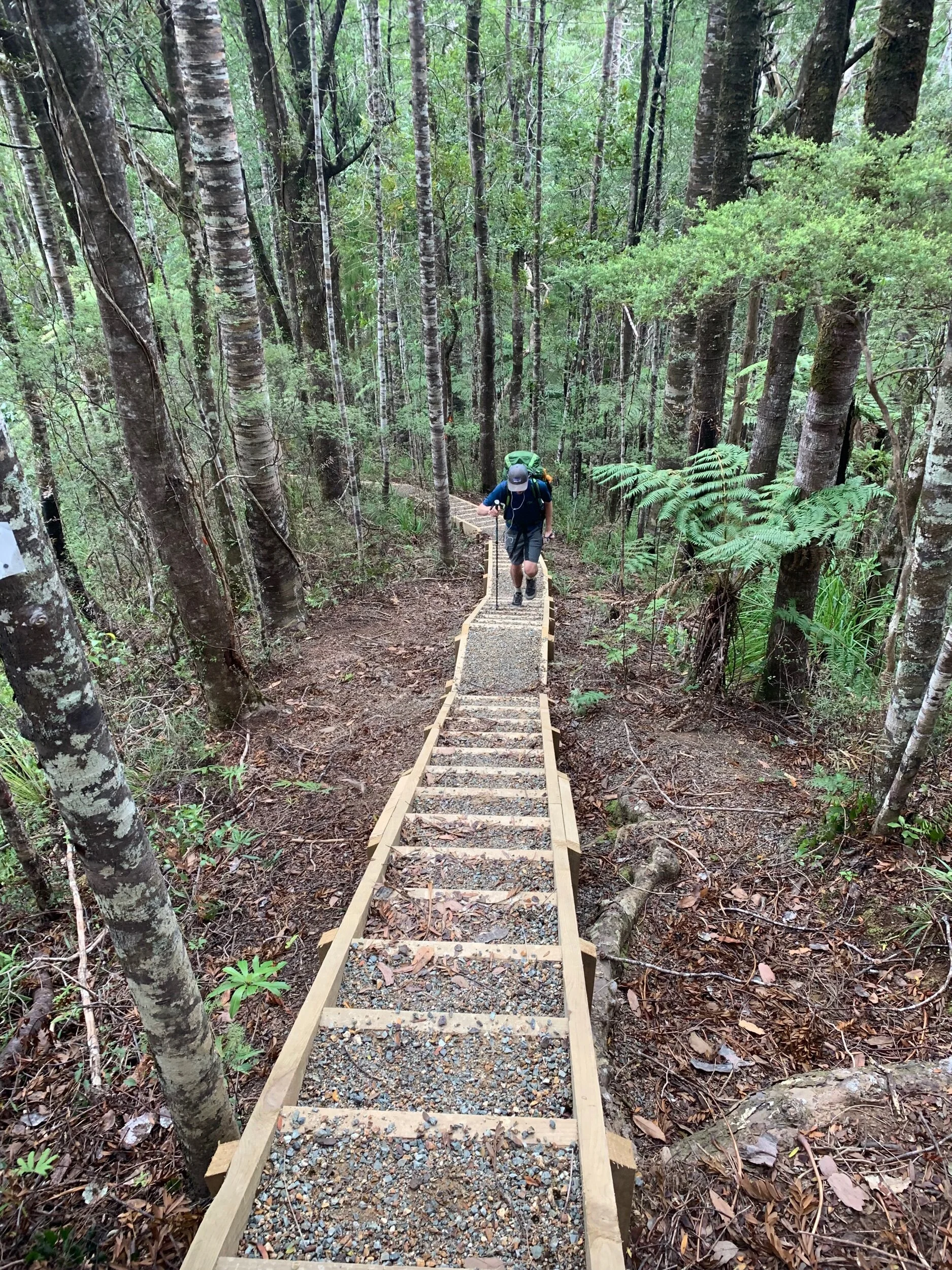 Ethan during the climb. Not quite as happy.