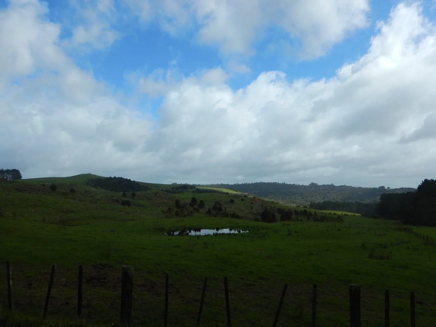 Picture taken by Alex walking through the farmlands