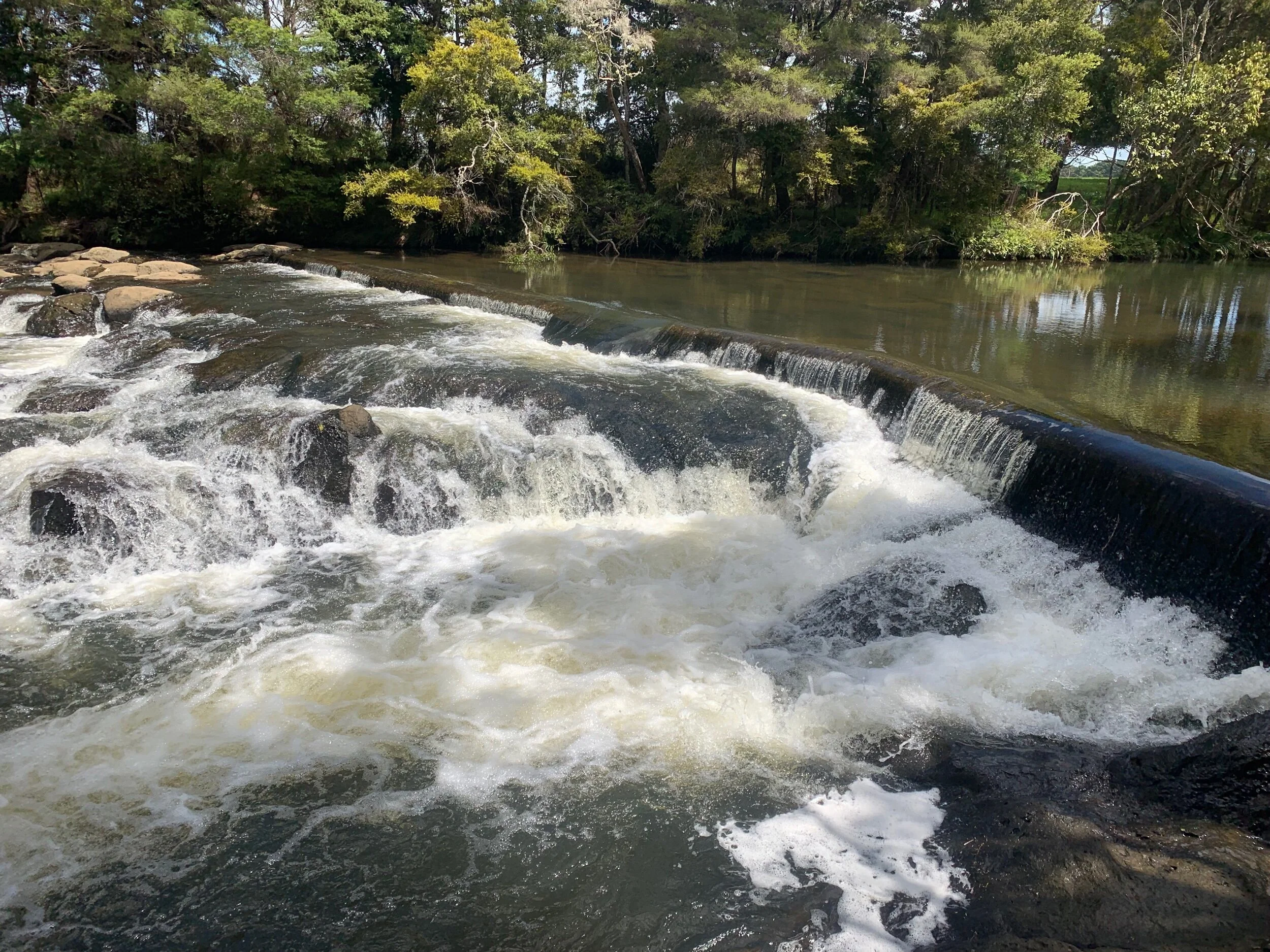 Rapids in the Kerikeri River