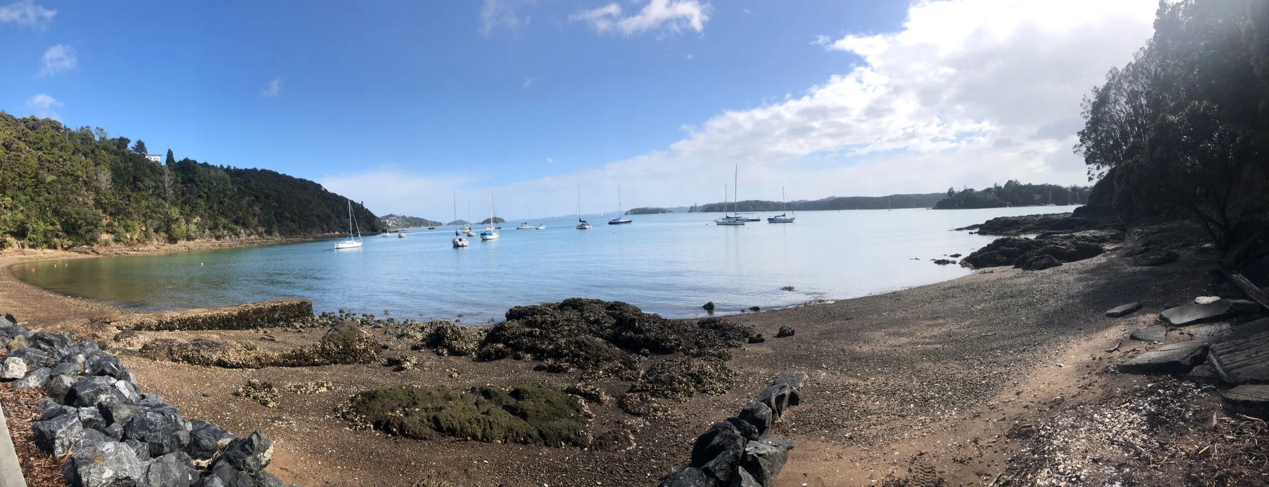 Along the walk to Opua