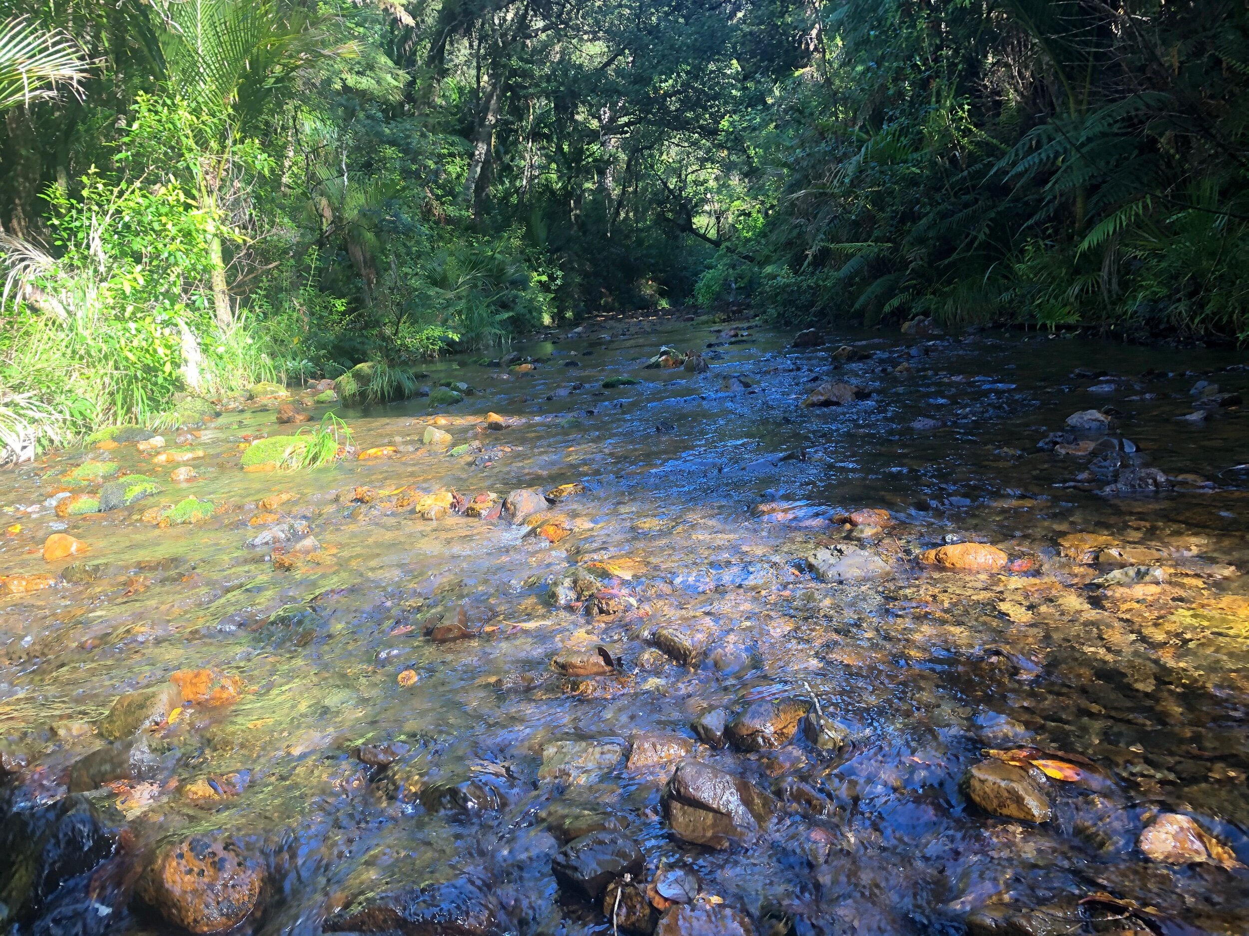 Walking in the stream as the sun goes down