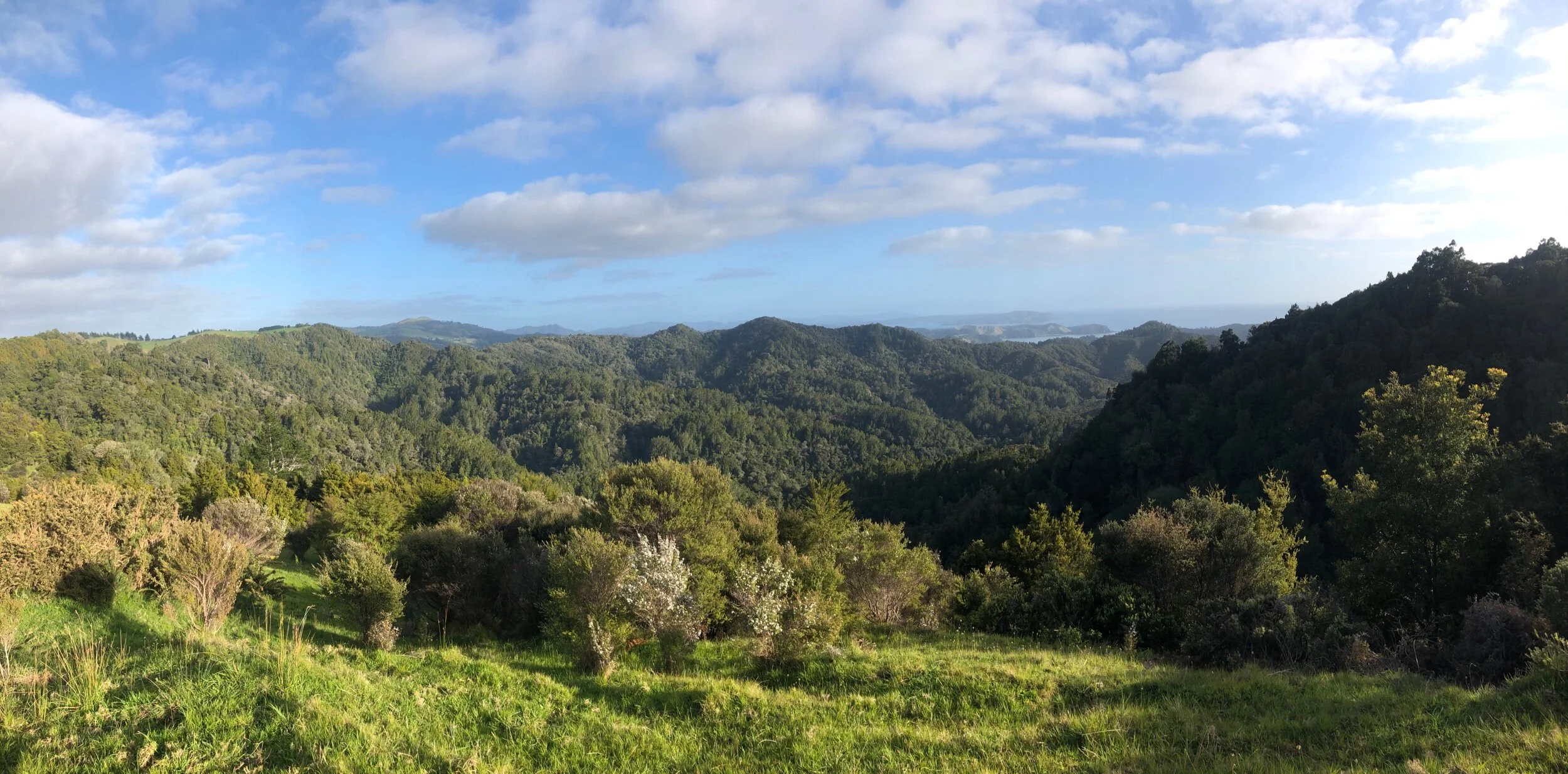 Early morning sunrise just outside of camp