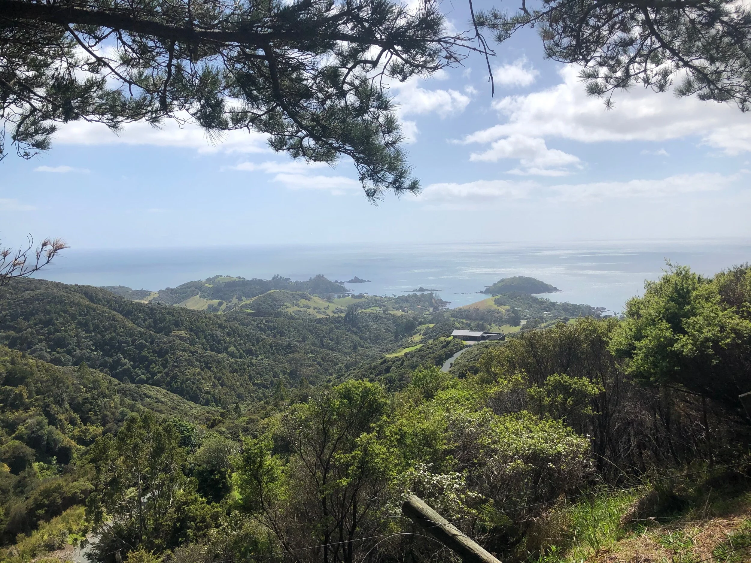 The view from the top of the climb