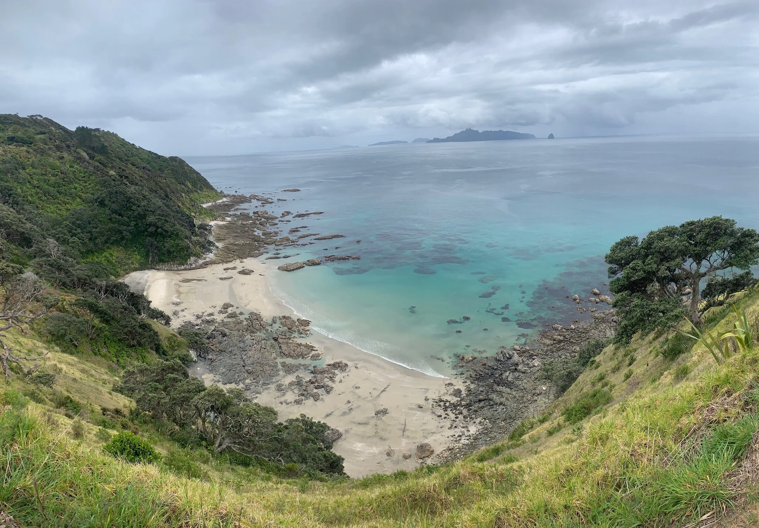 Cove along the trail to Mangawhai Heads