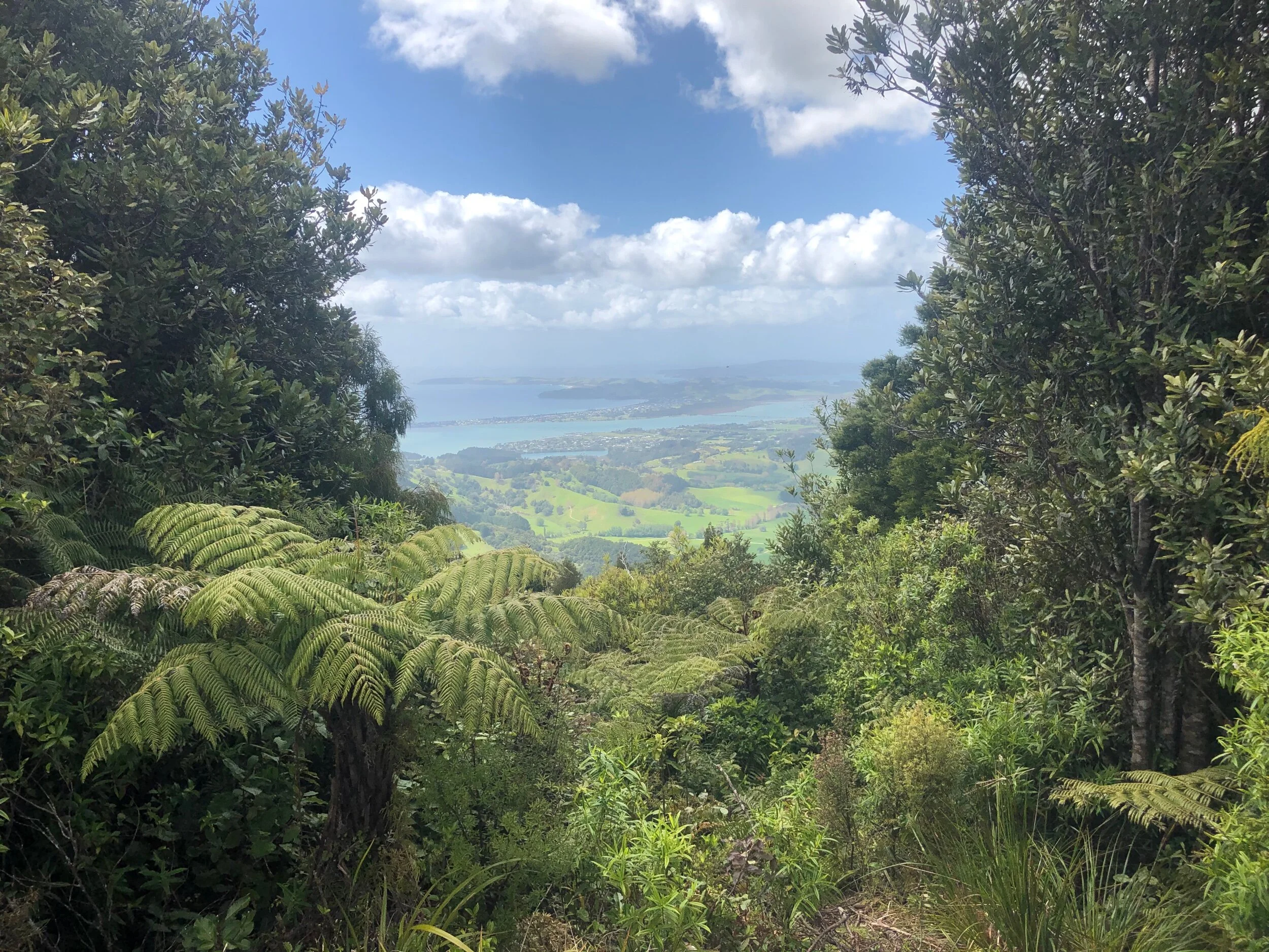 View of the summit of Tamahunga