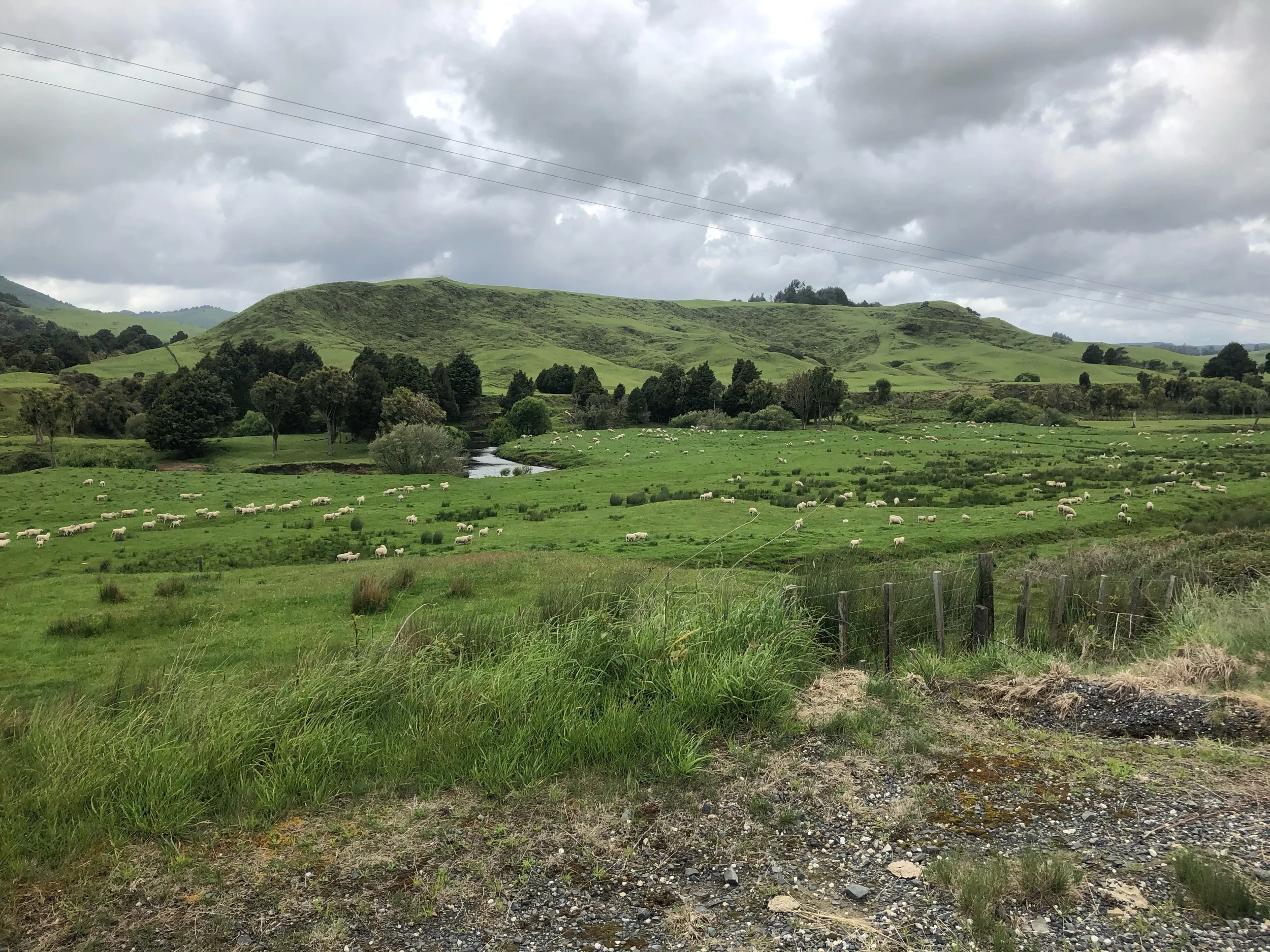 Day 37: Land of the Sheep, Home of the Rain