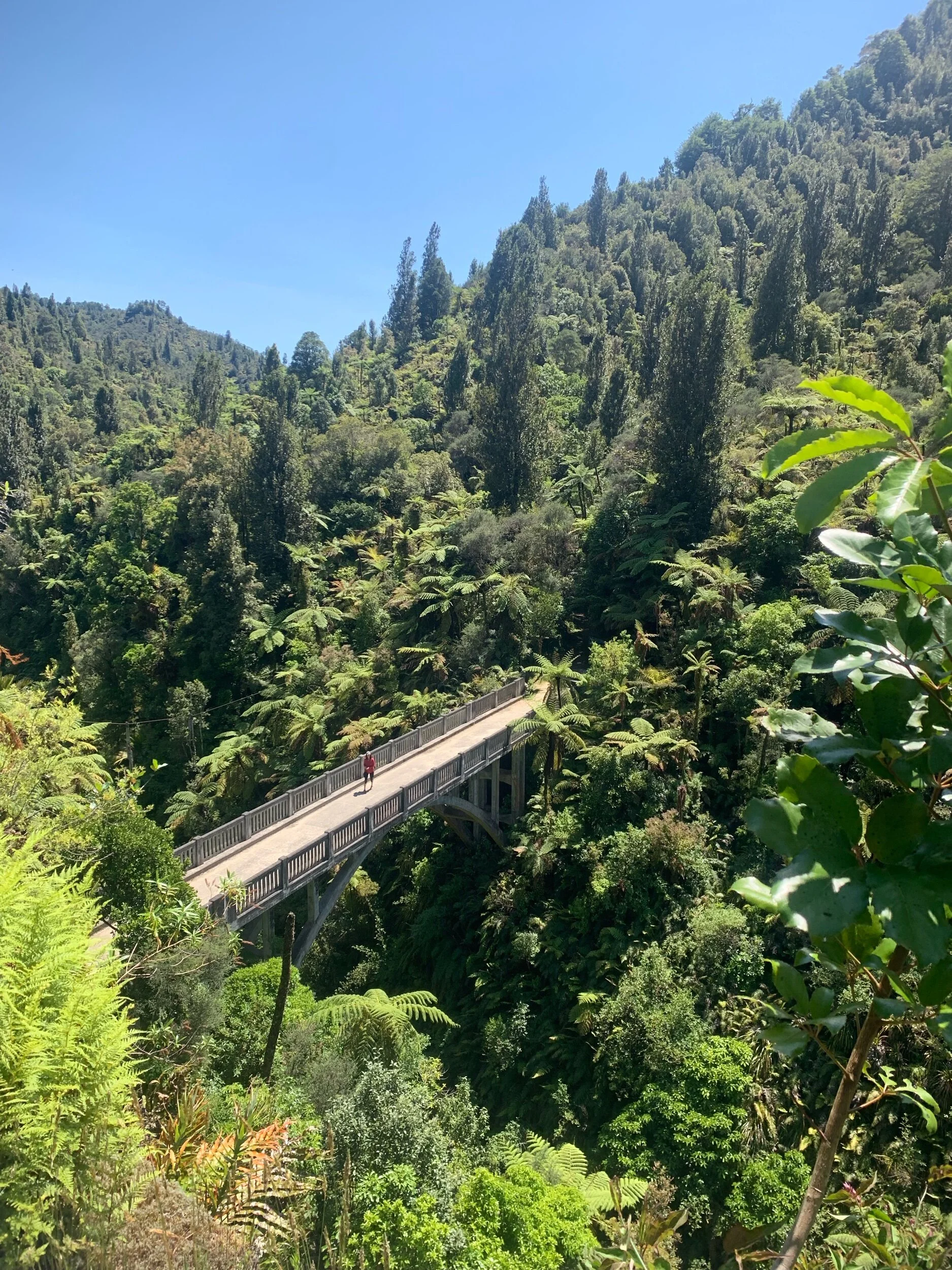 Day 48: The Bridge To Somewhere