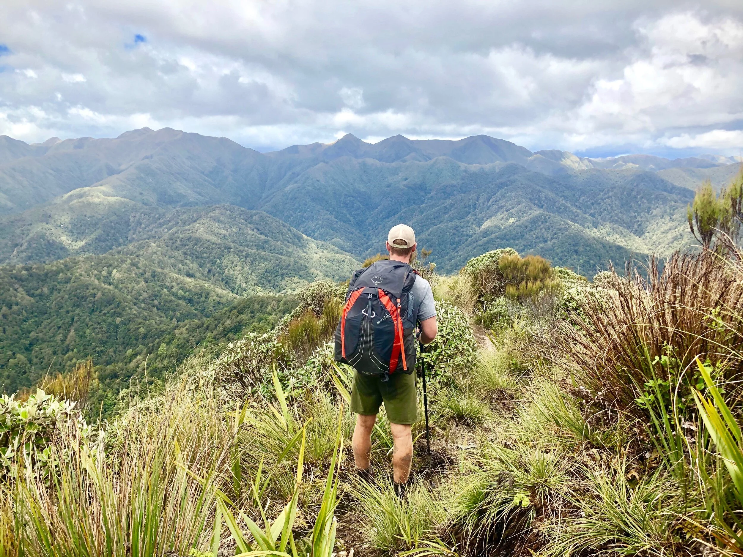 Day 60: Finally Into the Tararua Range