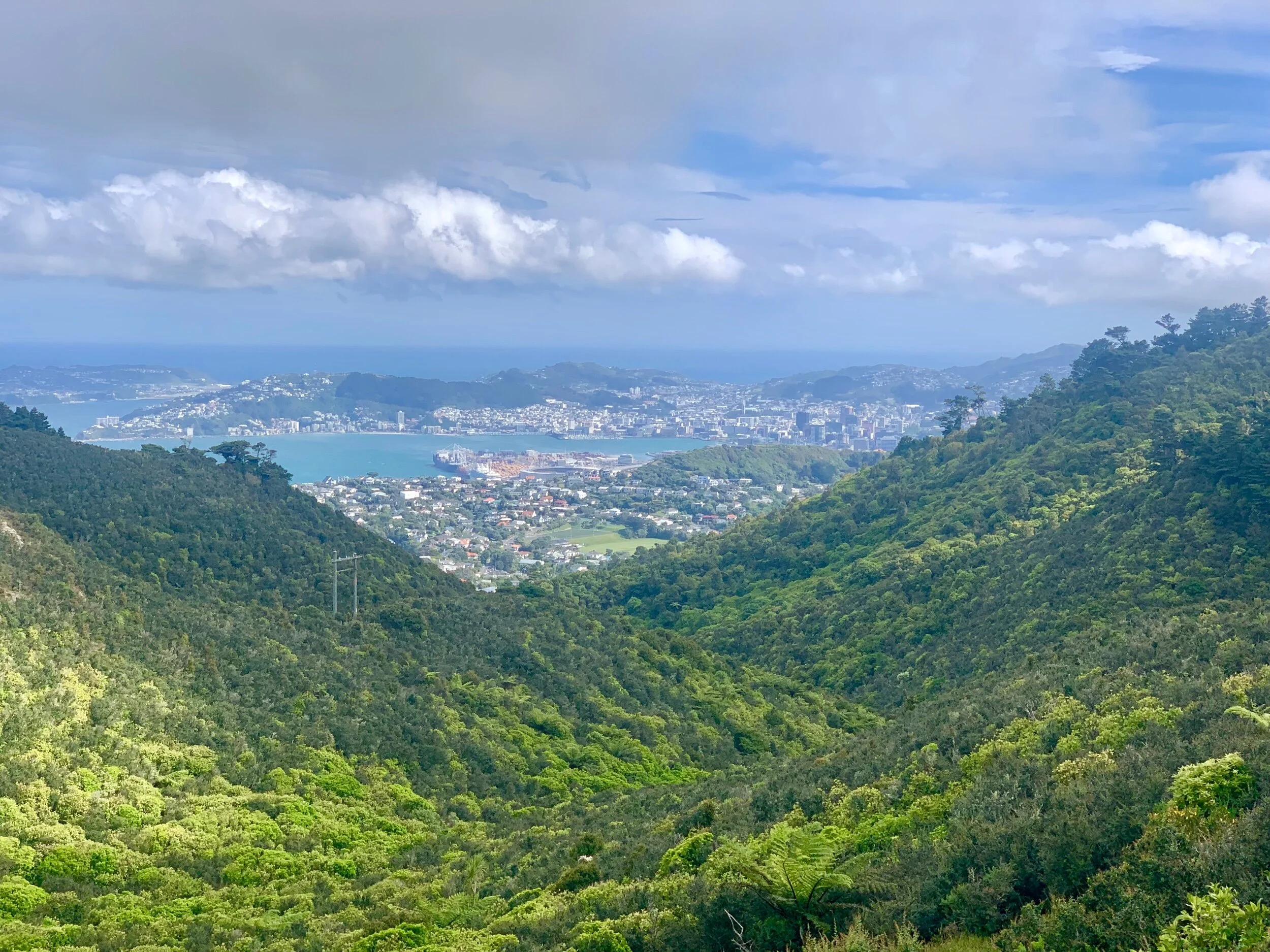 Day 64: Windy Wellington