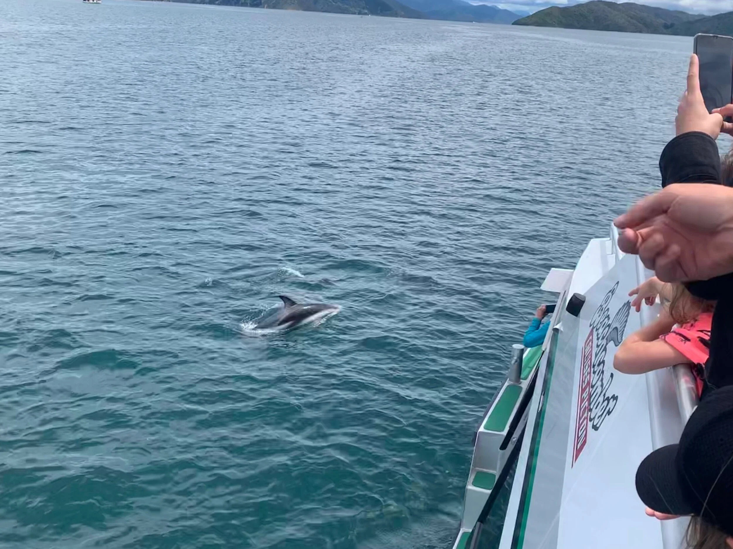 Day 69: Dolphins and Exploding Beer