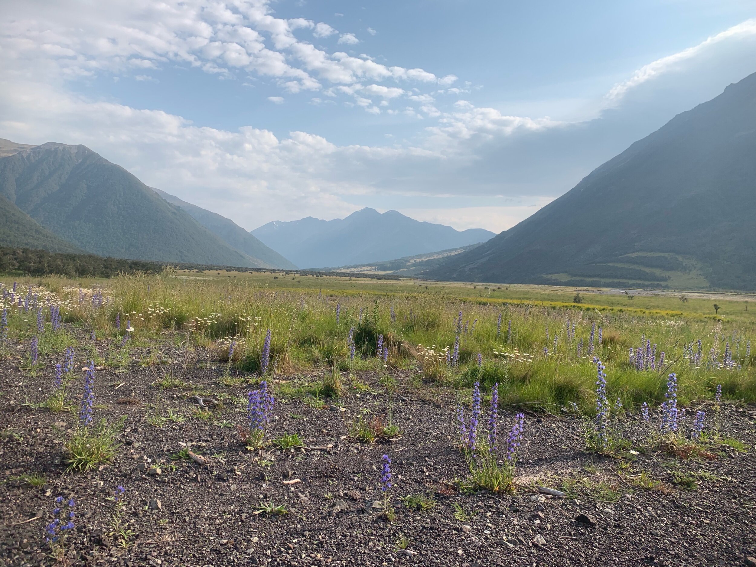 Day 84: Valleython