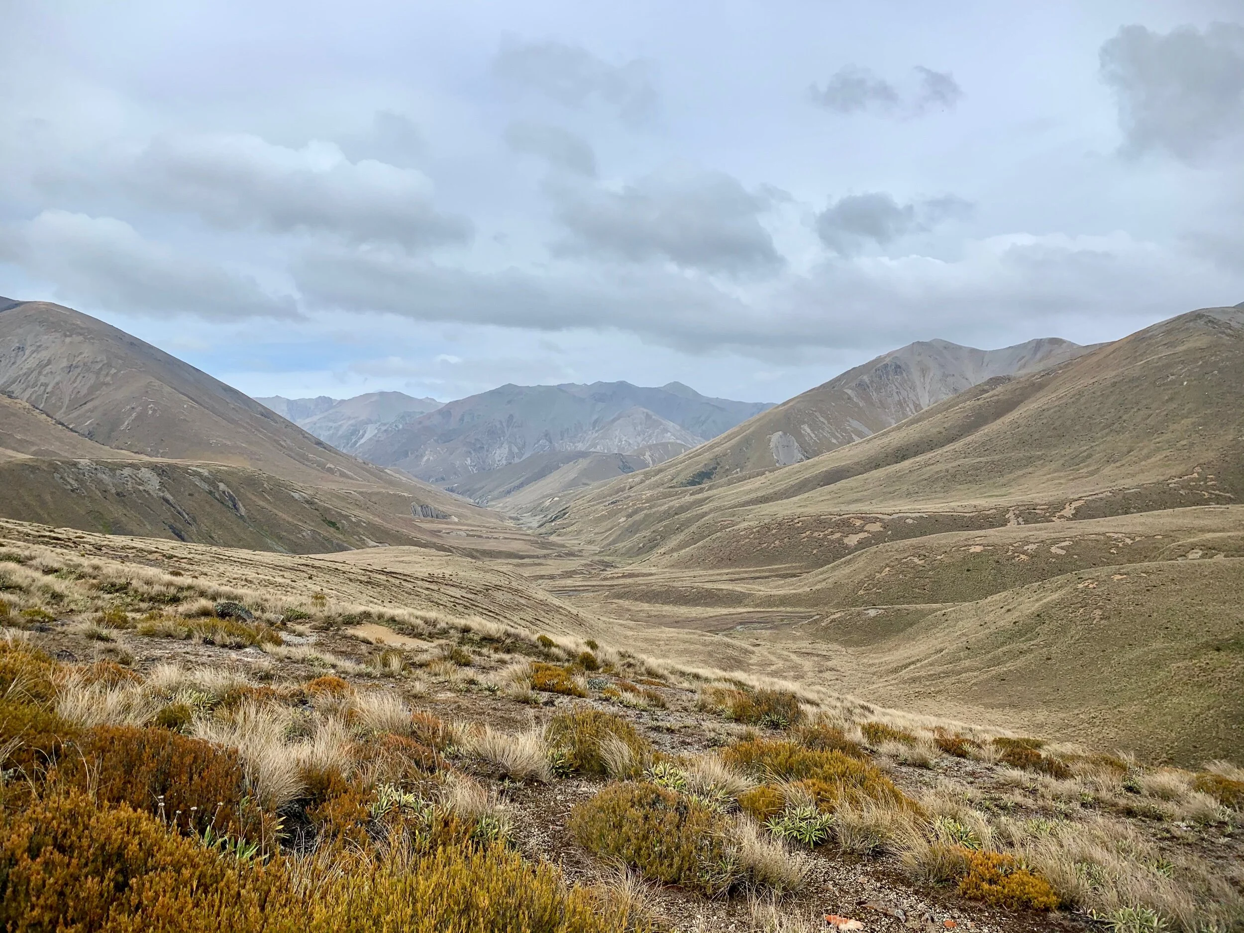 Day 94: Rompin Thru Rohan