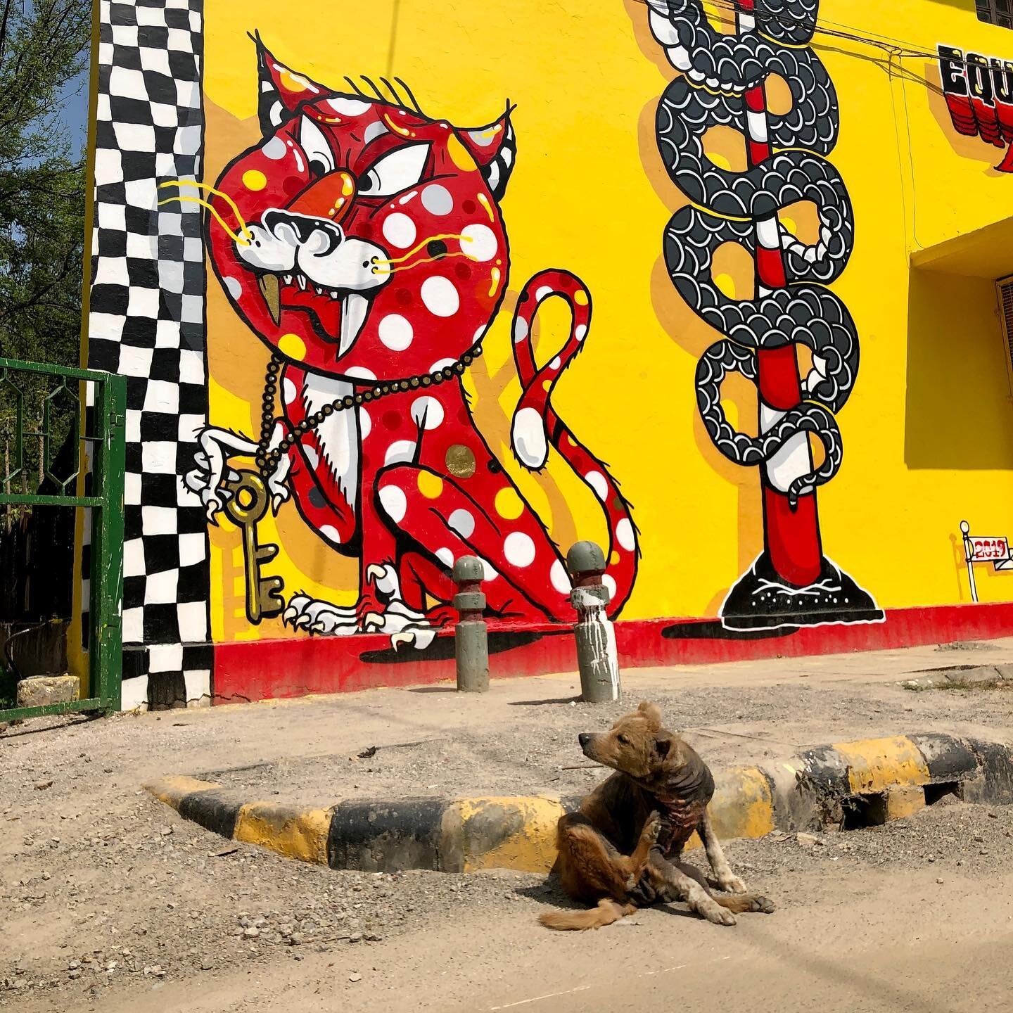 Delhi flashbacks &ldquo;Letters to Lodhi&rdquo; 
@_sheryo @_theyok @startindia

Lodhi, New Delhi, India
Spring of 2019
.
#streetphotography #streetart #graffiti #muralart #citylife #dogsofinstagram #dogoftheday #streetarteverywhere #travelphotography