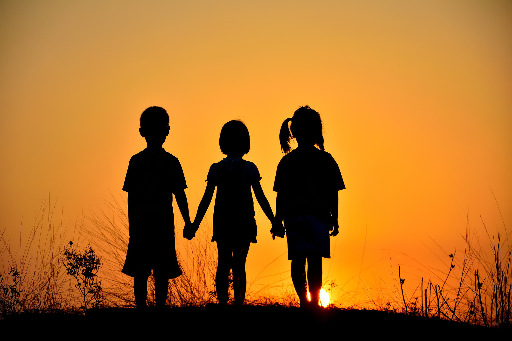 Friendship 