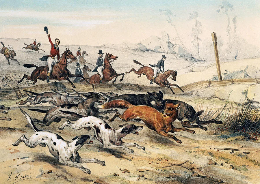 Liberalism &amp; The Case of Fox Hunting 