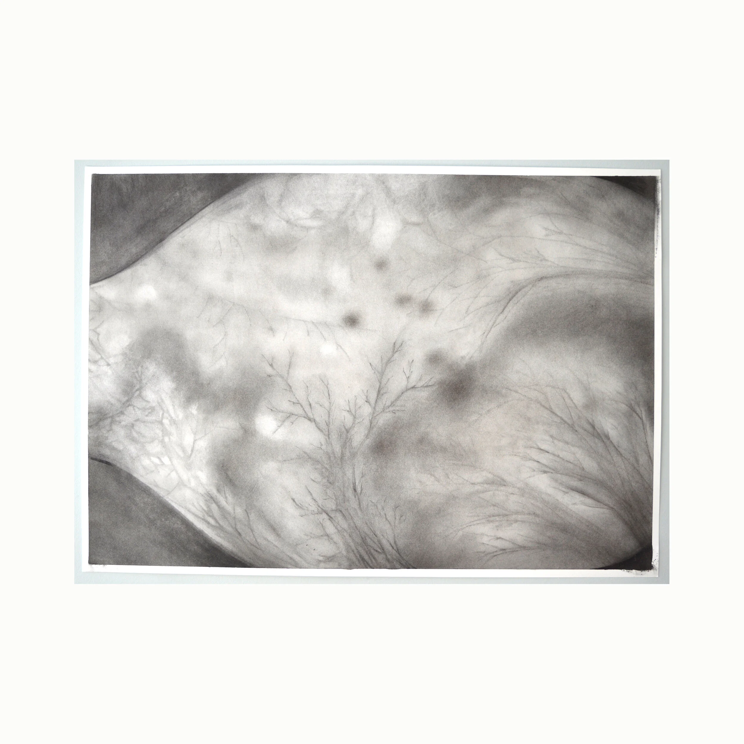 Untitled Drawing III