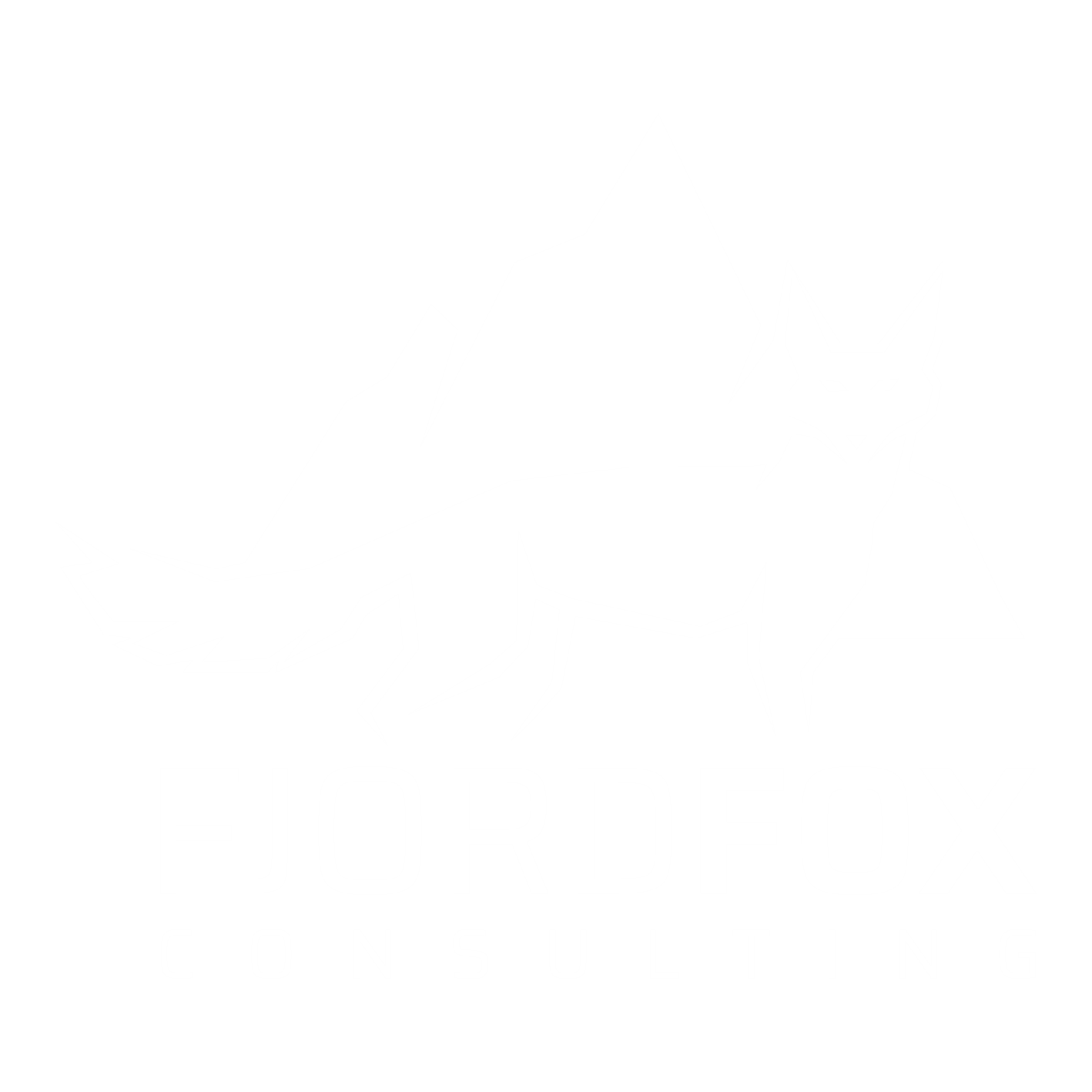Fjordfox Consulting