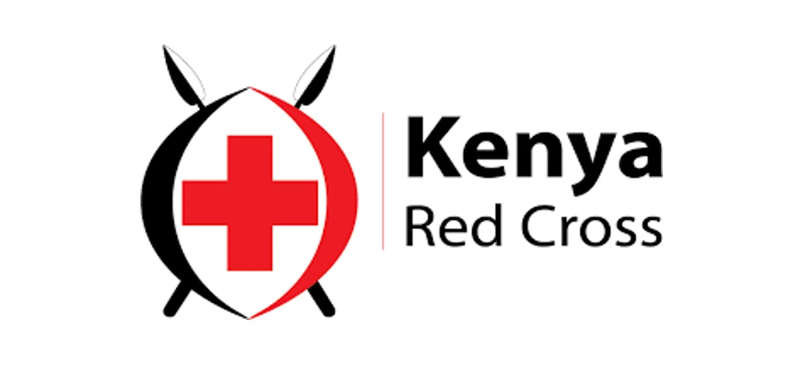 International Centre for Humanitarian Affairs