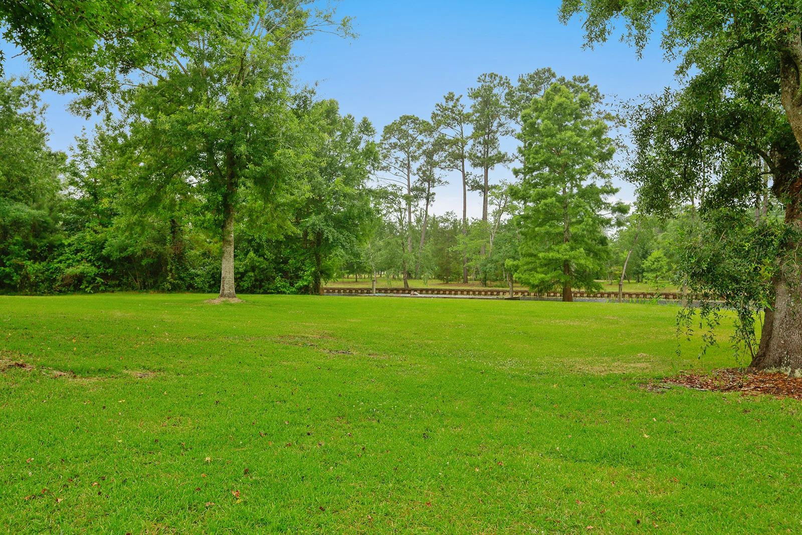 1600x1067_049_mls (1).jpg