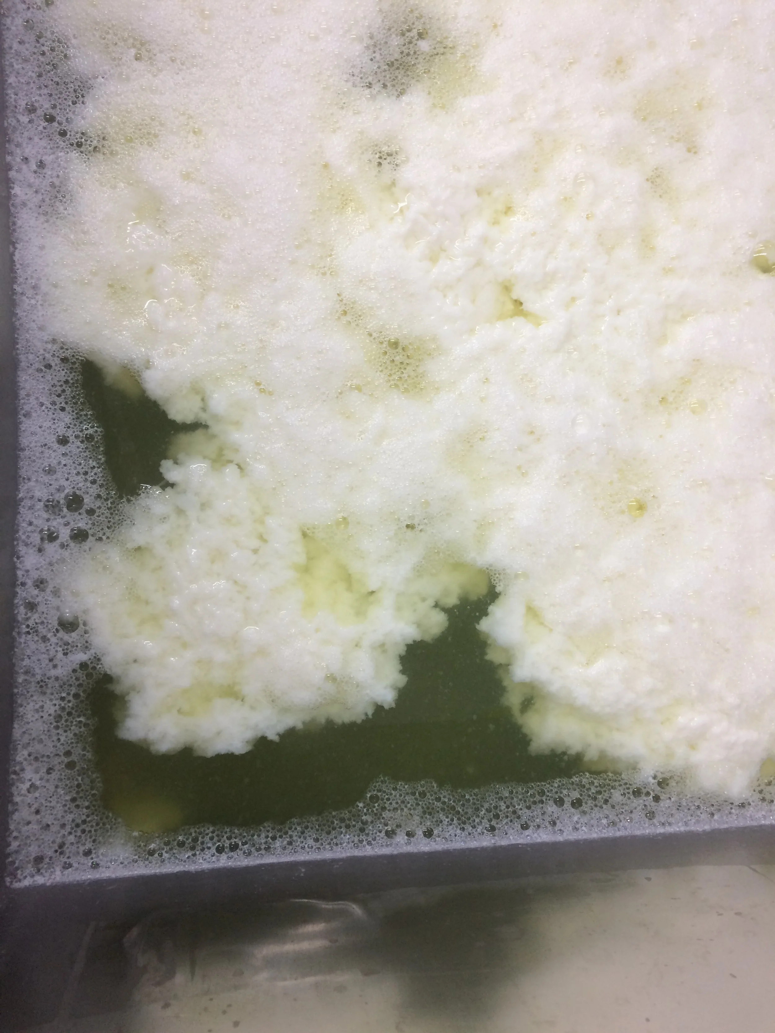 Whey ricotta