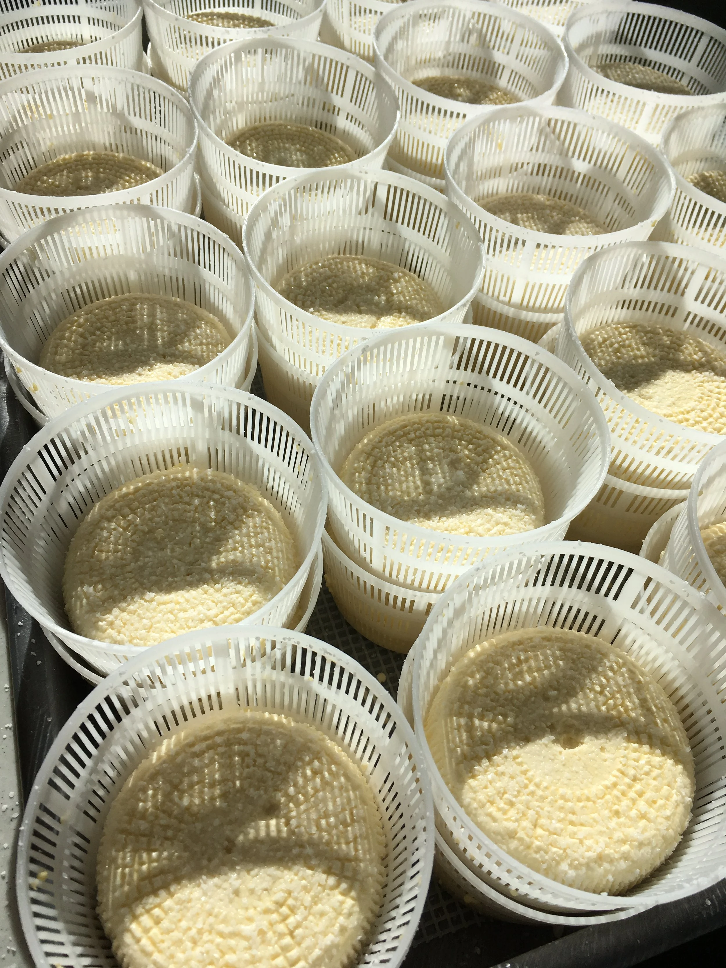 Cheese draining in the sun