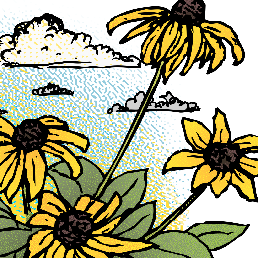 HillAuditorium_Detail3.png