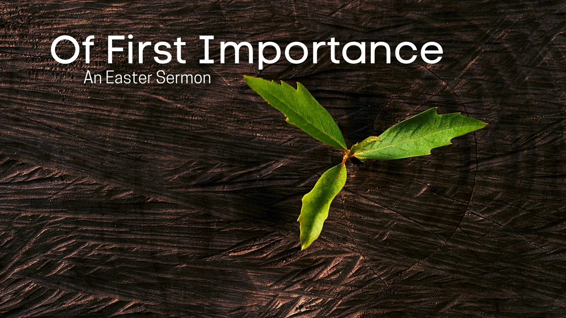 Of First Importance