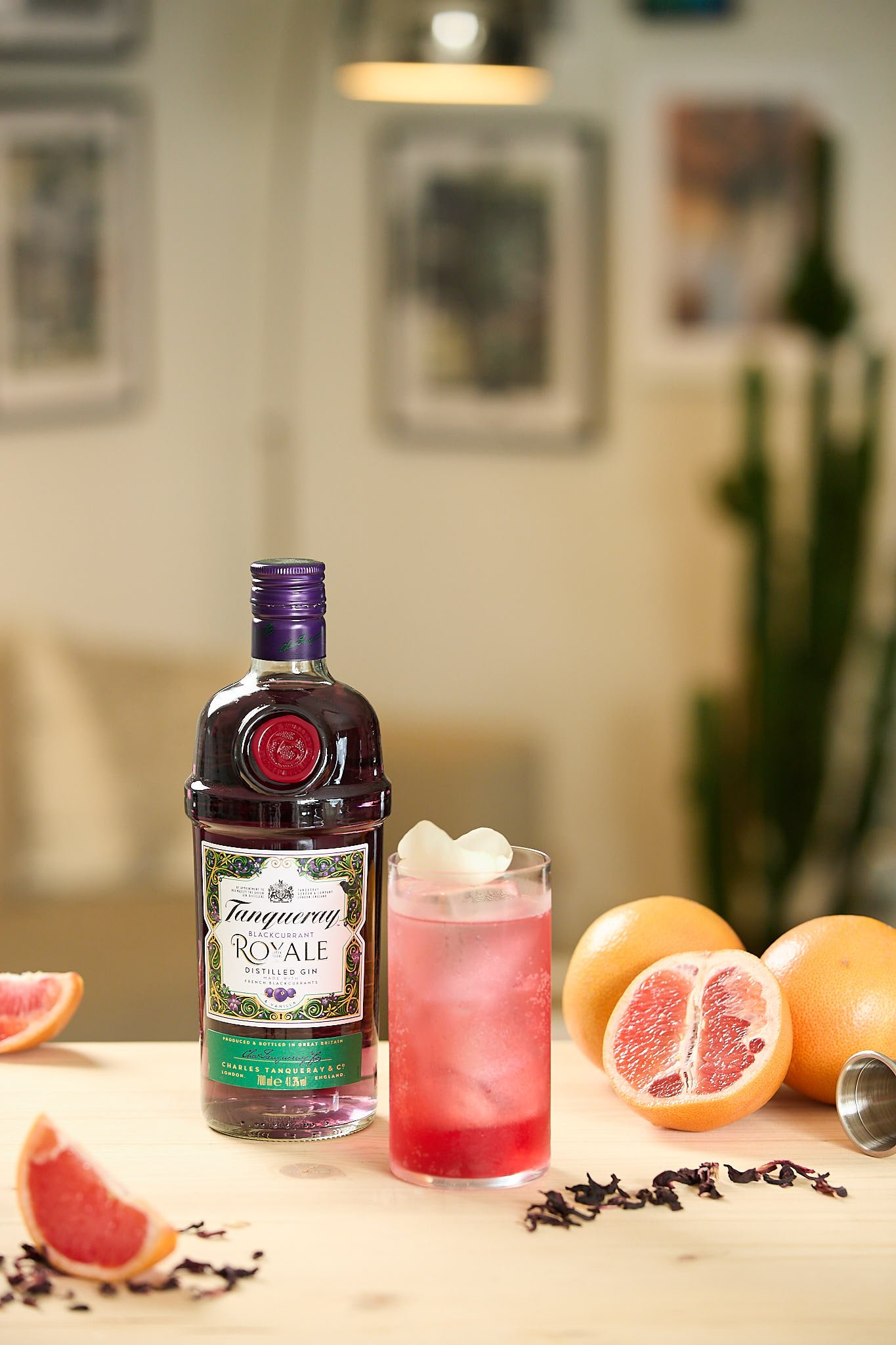 Tanqueray Cocktails12171.jpg