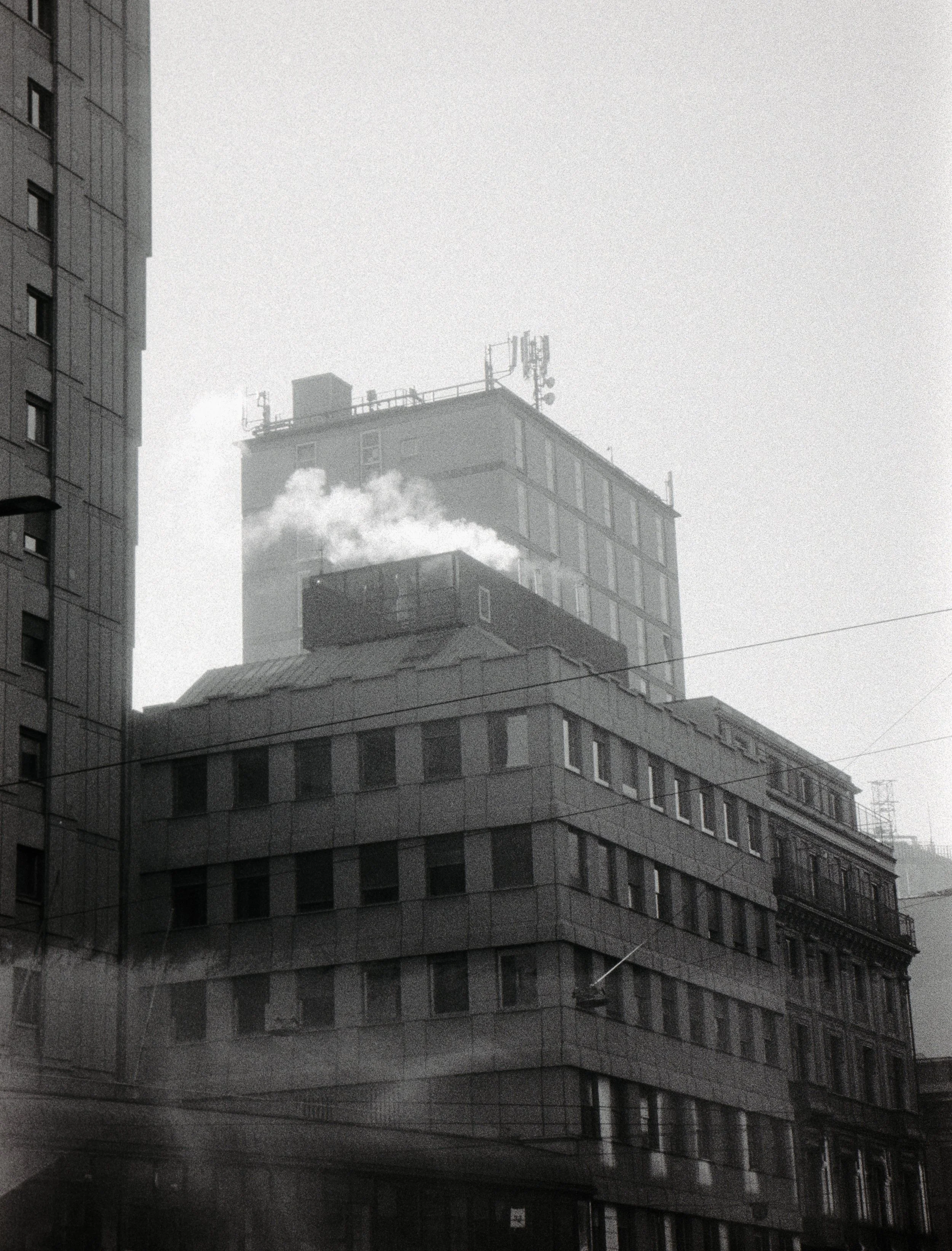 COLD HAZE