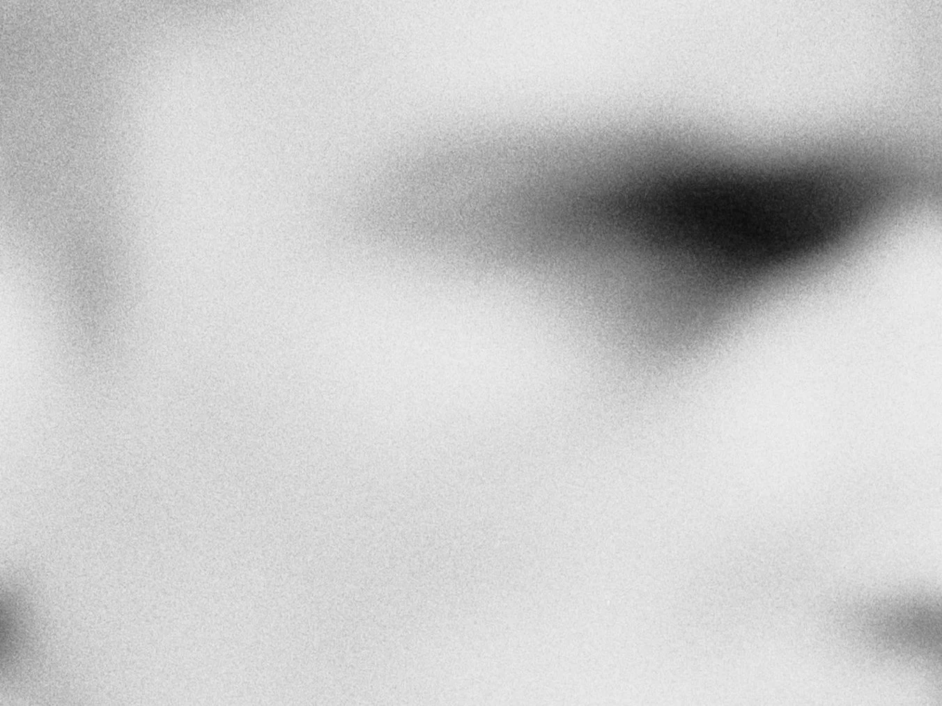 LONER EXHIBITION